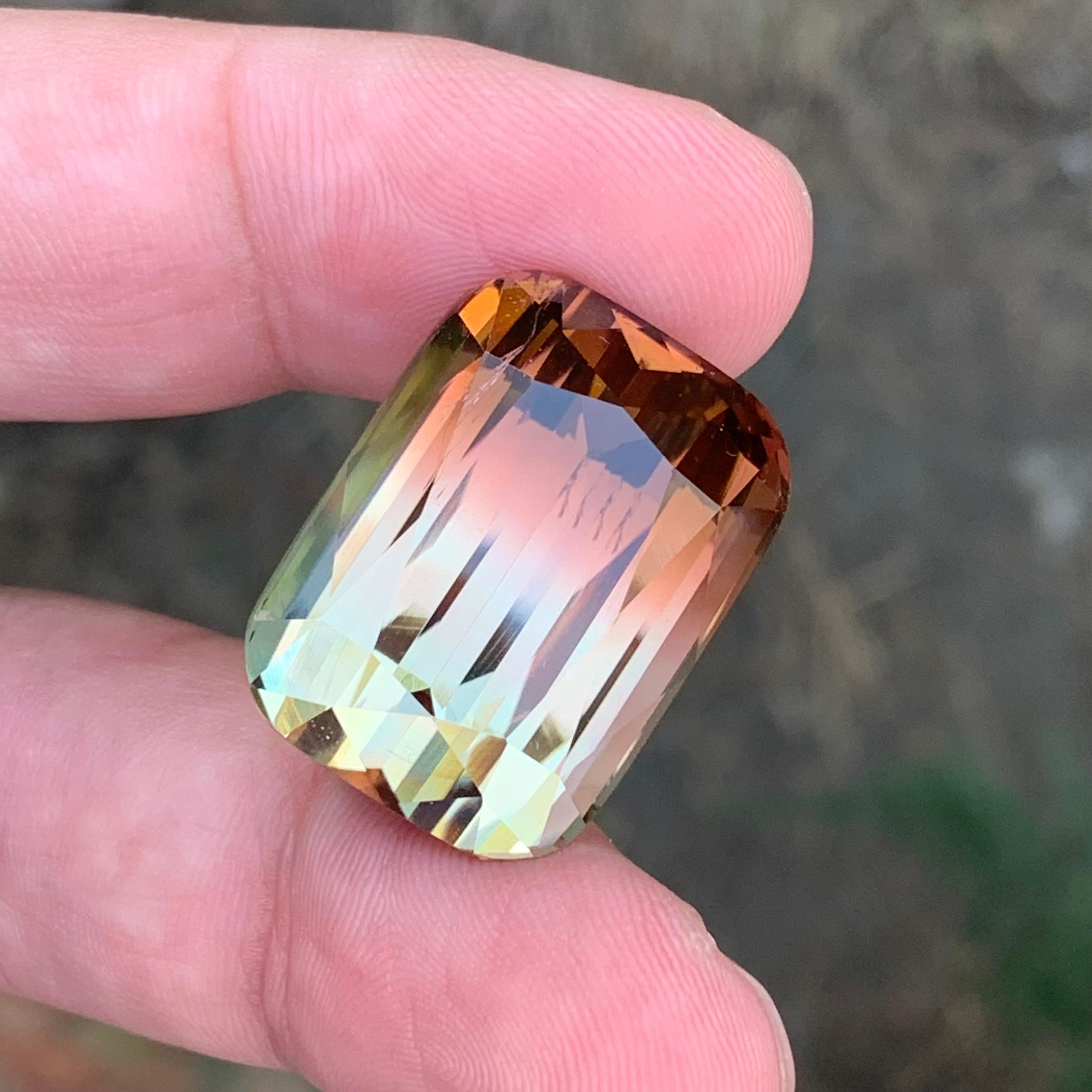 Grande tourmaline naturelle non sertie de 52,70 carats d'Afrique en vente 4