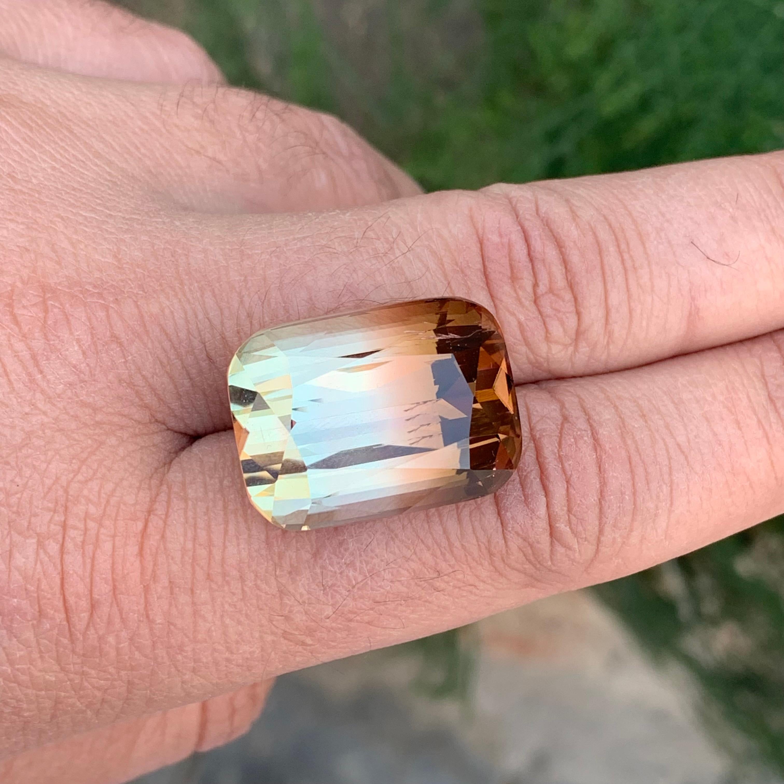 Grande tourmaline naturelle non sertie de 52,70 carats d'Afrique en vente 5