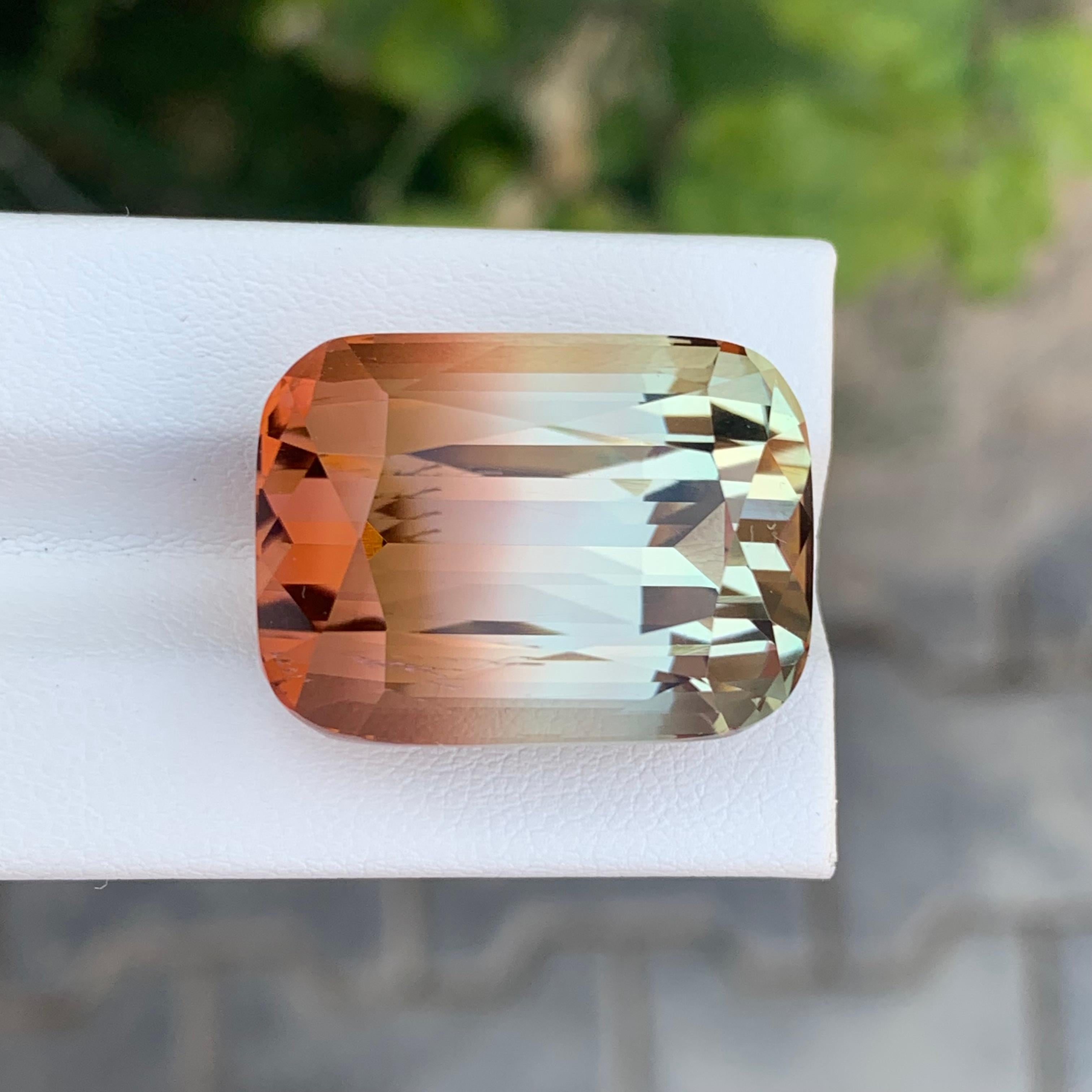 Grande tourmaline naturelle non sertie de 52,70 carats d'Afrique en vente 6