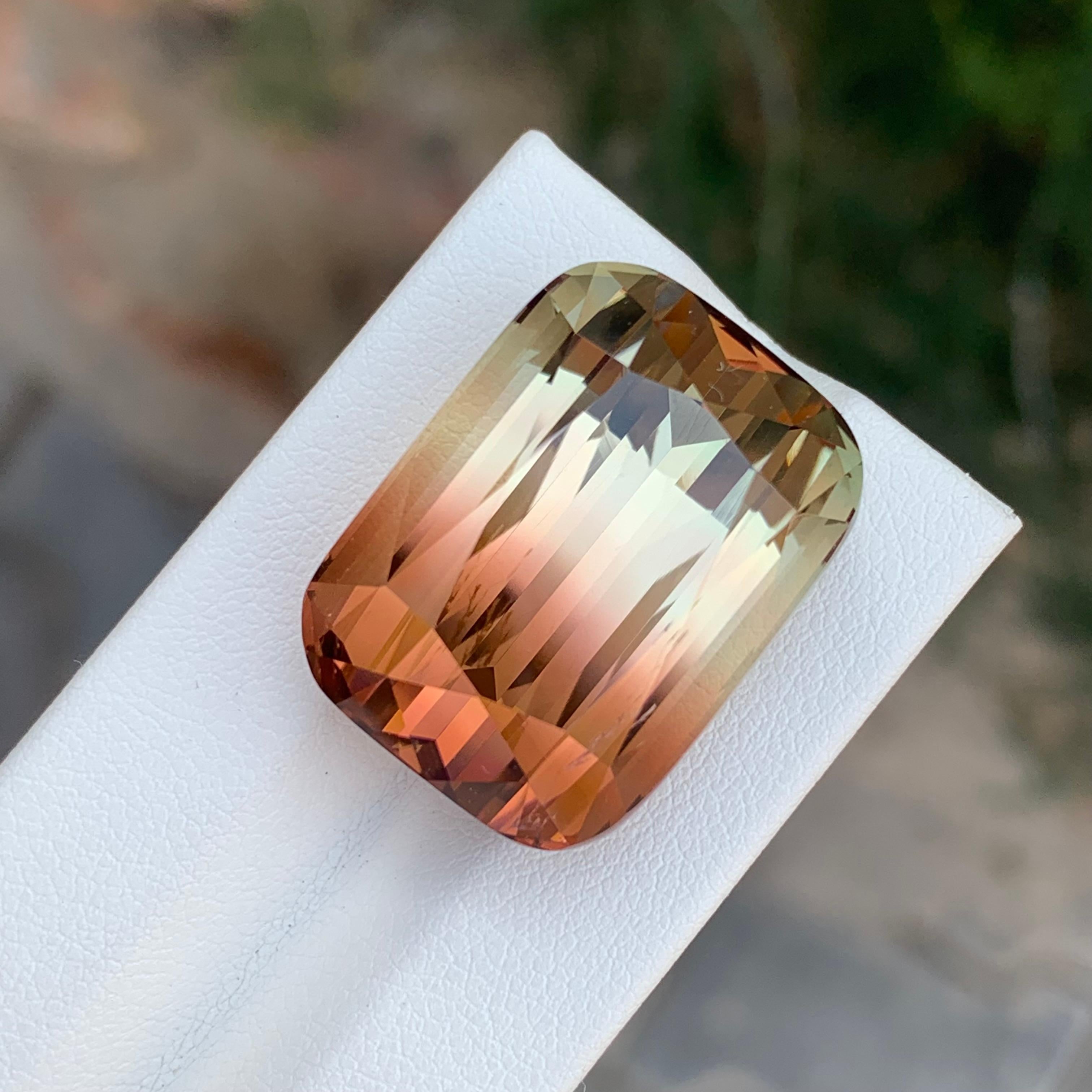Grande tourmaline naturelle non sertie de 52,70 carats d'Afrique en vente 8