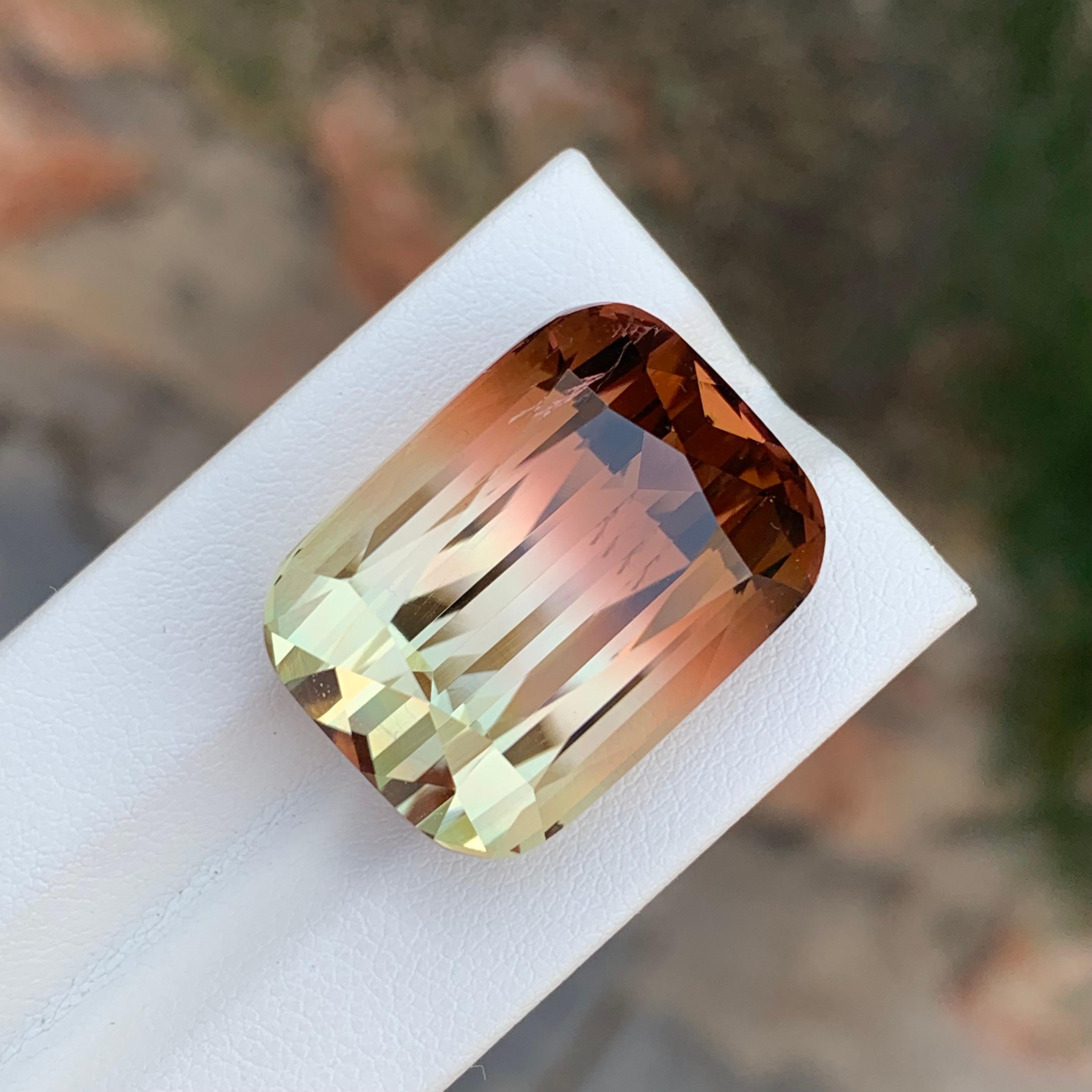Tourmaline à facettes

Poids : 52,70 carats
Dimension : 23 x 17,7 x 14,9 mm
Couleur : Doré et rose pêche
Traitement : Non
Certificat : Sur demande du client
Forme : Coussin


La tourmaline est une pierre précieuse captivante connue pour sa