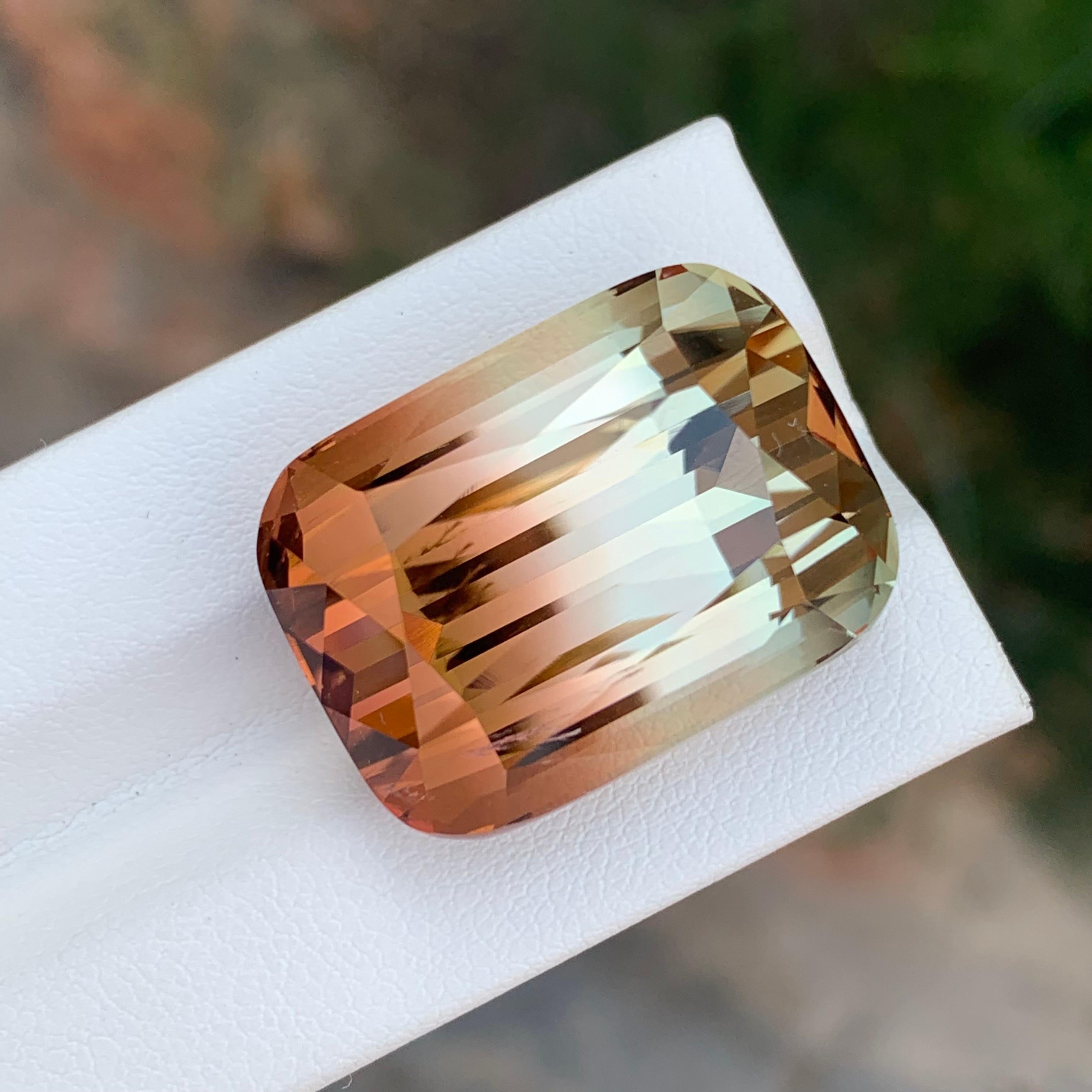 Arts and Crafts Grande tourmaline naturelle non sertie de 52,70 carats d'Afrique en vente