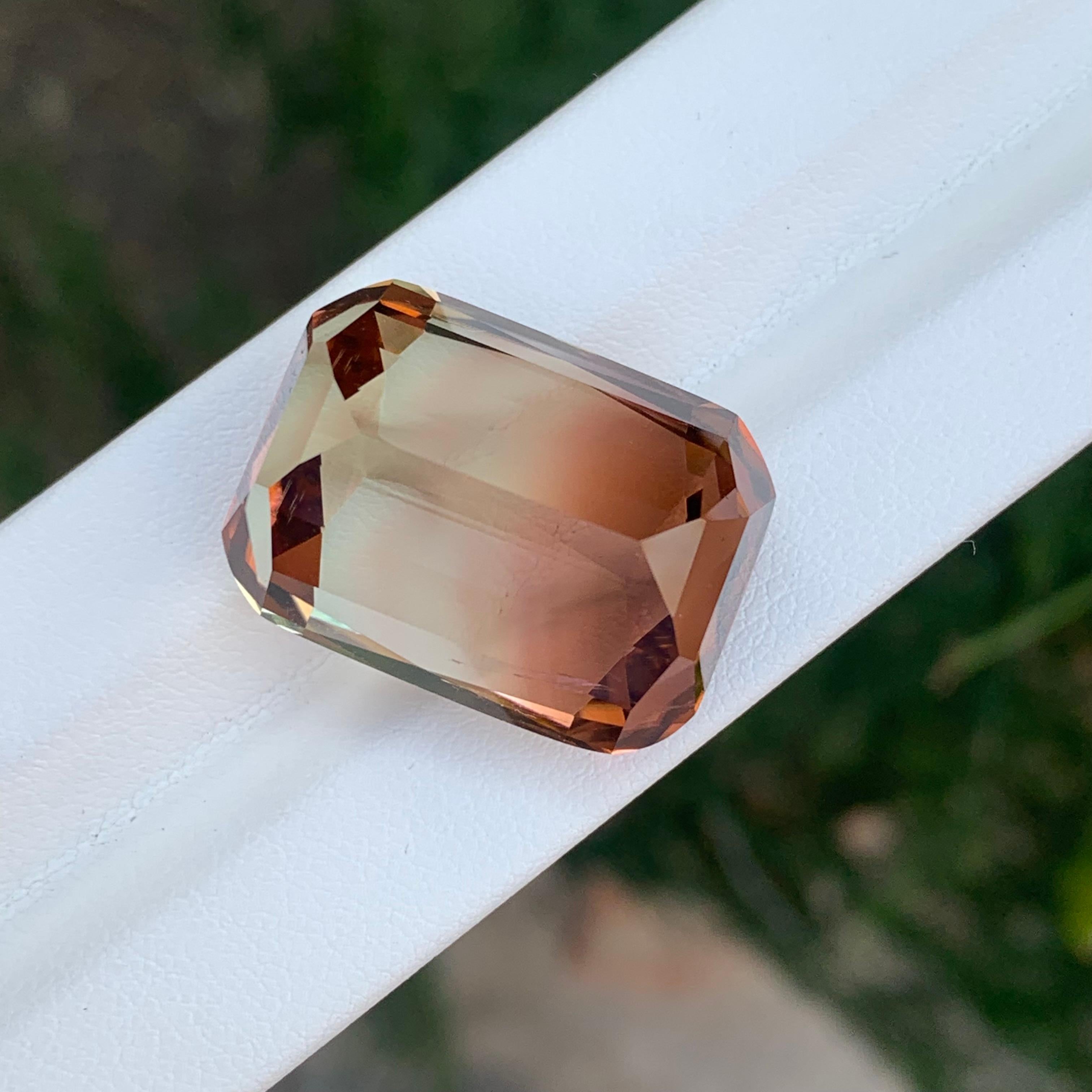 Grande tourmaline naturelle non sertie de 52,70 carats d'Afrique Unisexe en vente