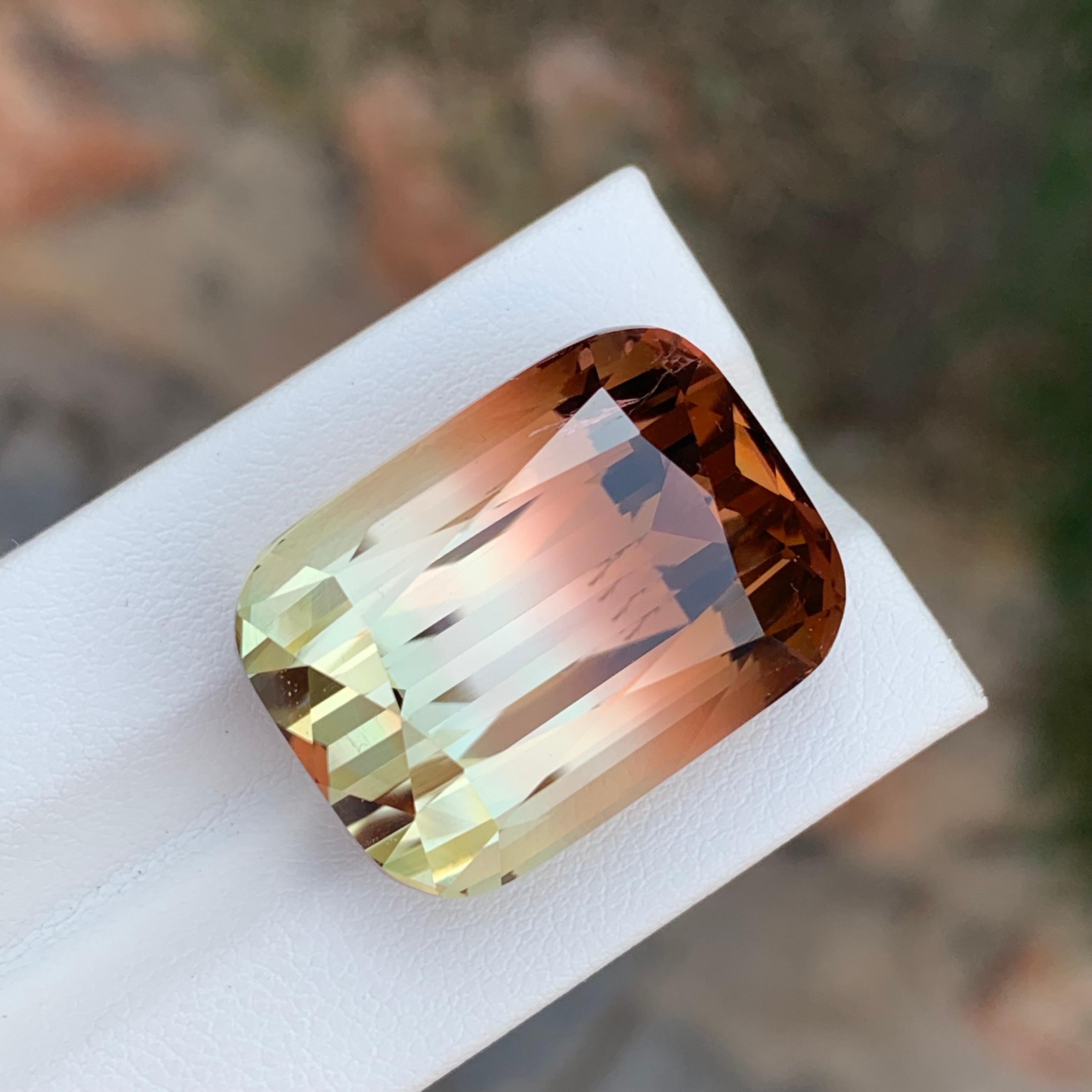 Grande tourmaline naturelle non sertie de 52,70 carats d'Afrique en vente 1