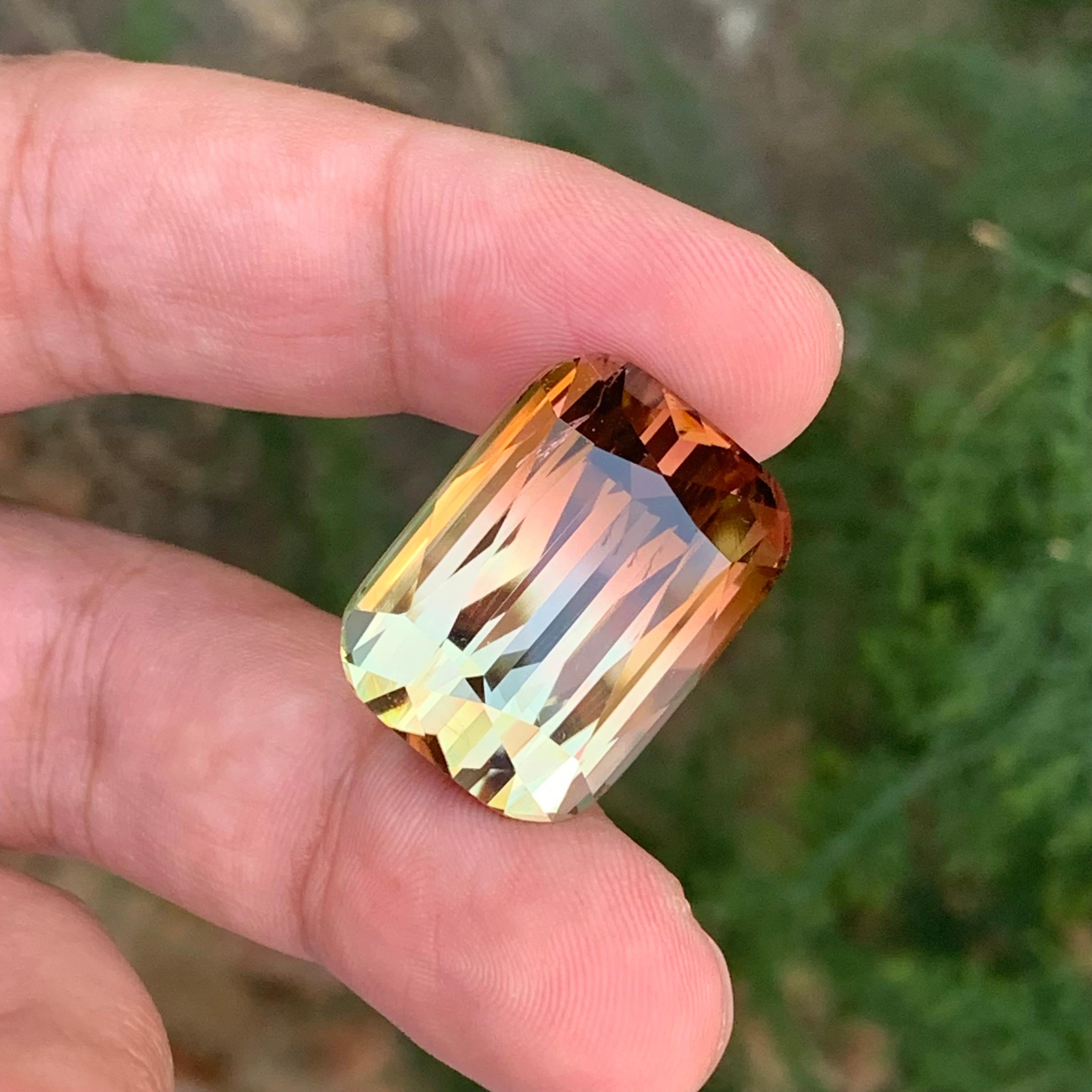 Grande tourmaline naturelle non sertie de 52,70 carats d'Afrique en vente 3