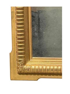 Huge 90” Regency Style Jerry Solomon Giltwood Full Length Mirror