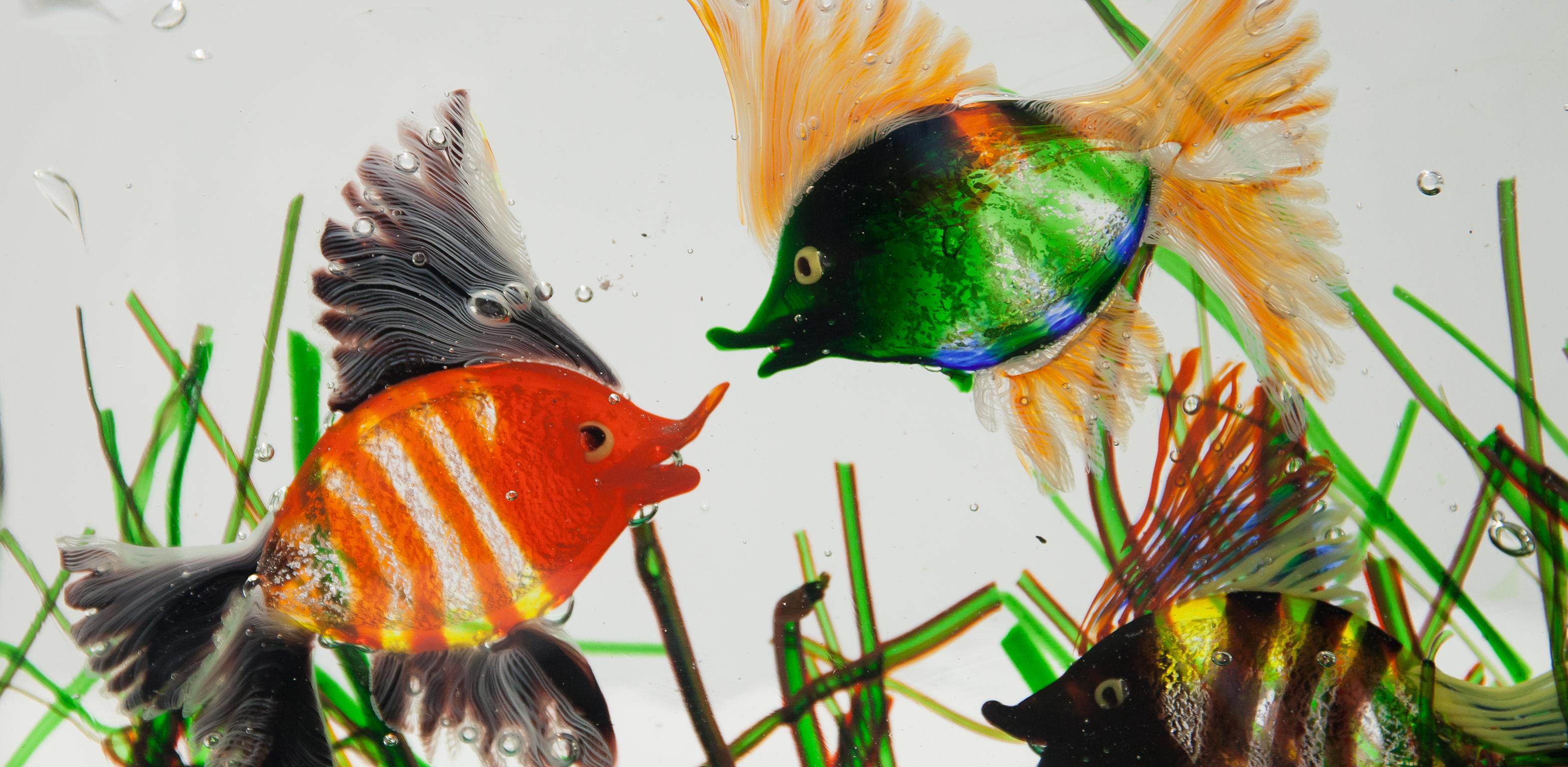 Huge Alfredo Barbini Cenedese Aquarium Object 1960s For Sale 2