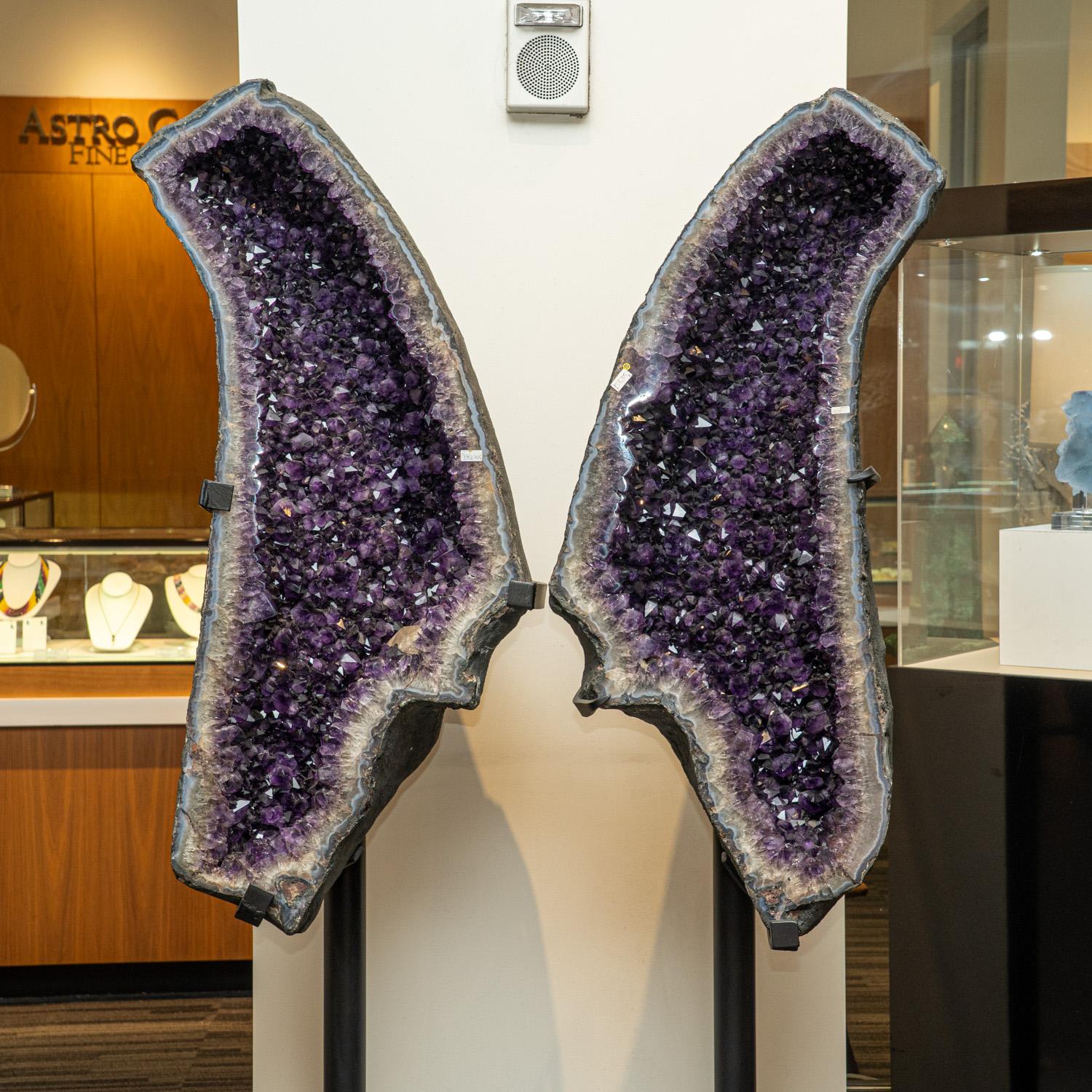 Este impresionante expositor Mariposa amatista incluye un soporte de metal negro que imita las alas de las mariposas. Las mitades de la geoda presentan un rico y profundo tono morado y están adornadas con cristales de Amatista que apuntan hacia el