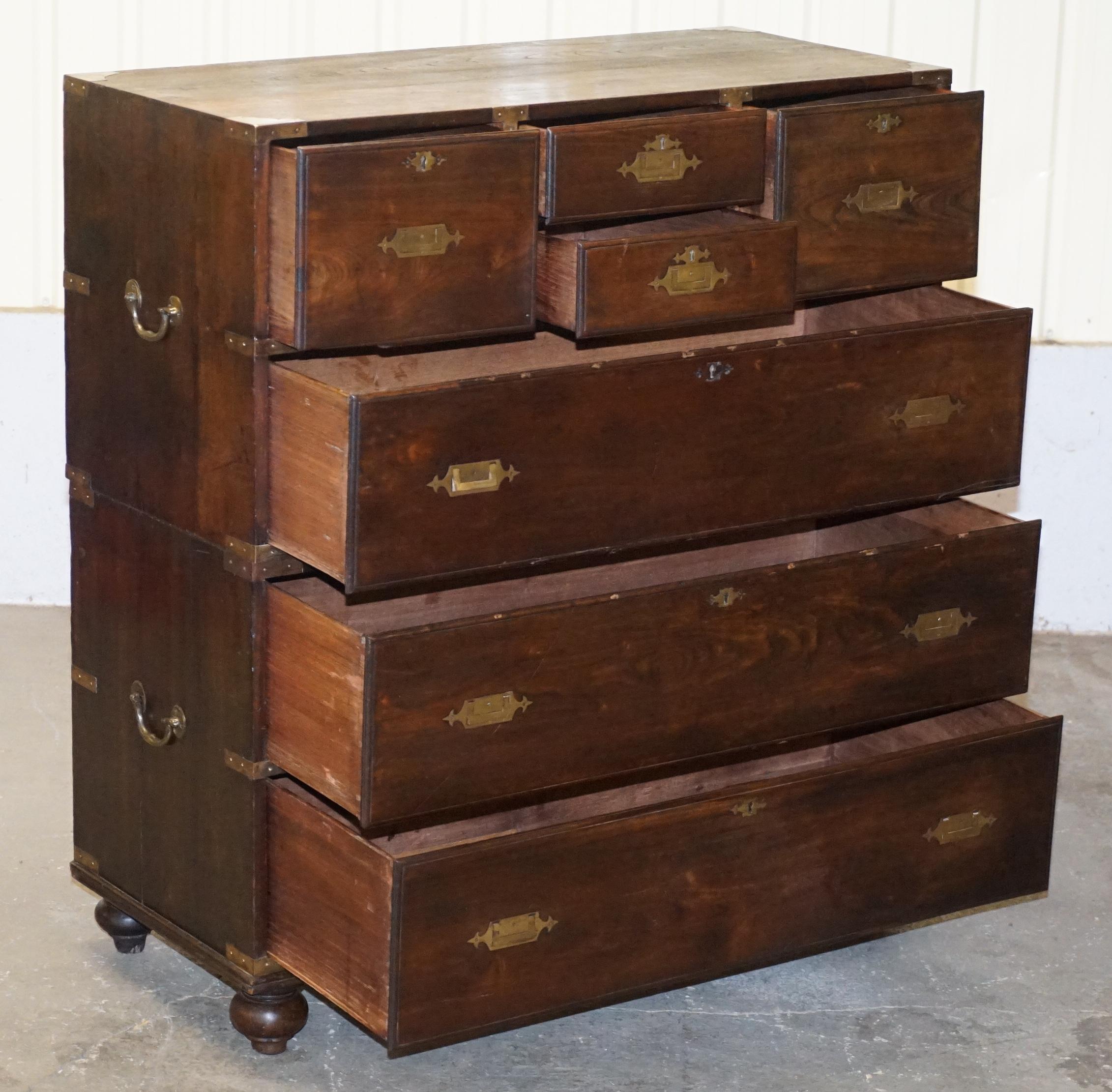 Huge Antique Camphor Wood Anglo Indian Military Campaign Chest of Drawers 8