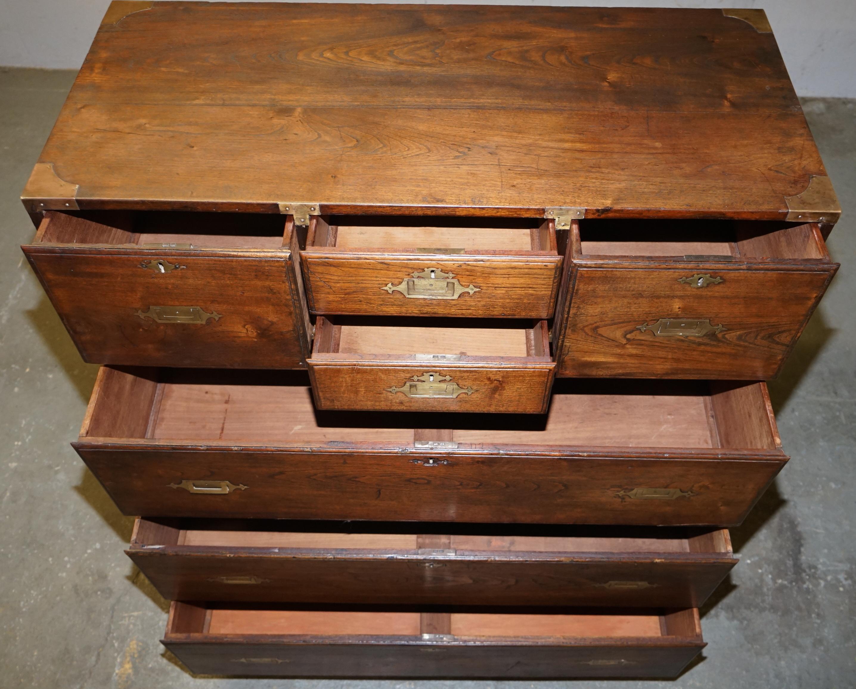 Huge Antique Camphor Wood Anglo Indian Military Campaign Chest of Drawers 10