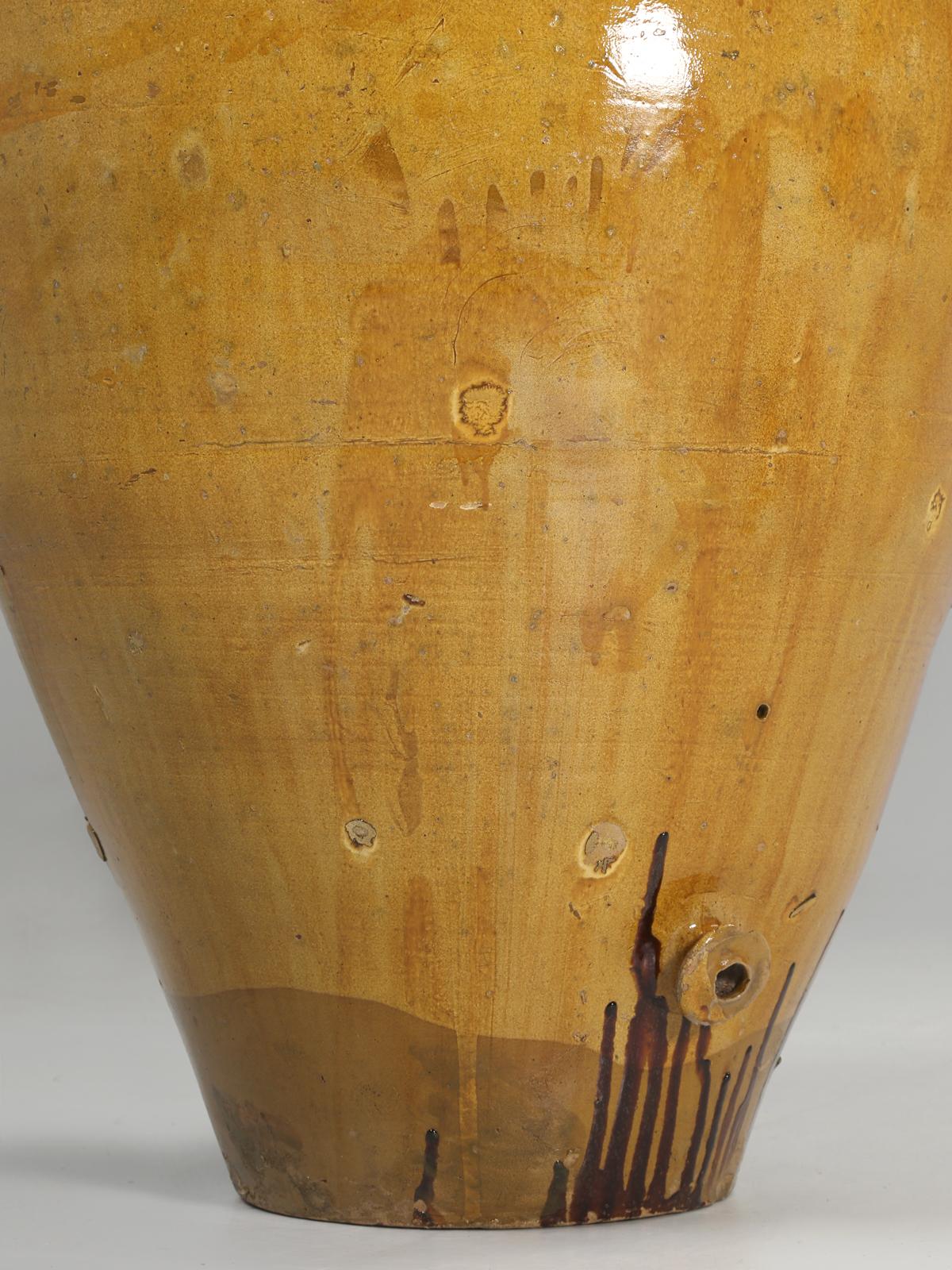 Huge Antique Olive Oil Jar from the South of Italy, Dating from the Late, 1800's 6