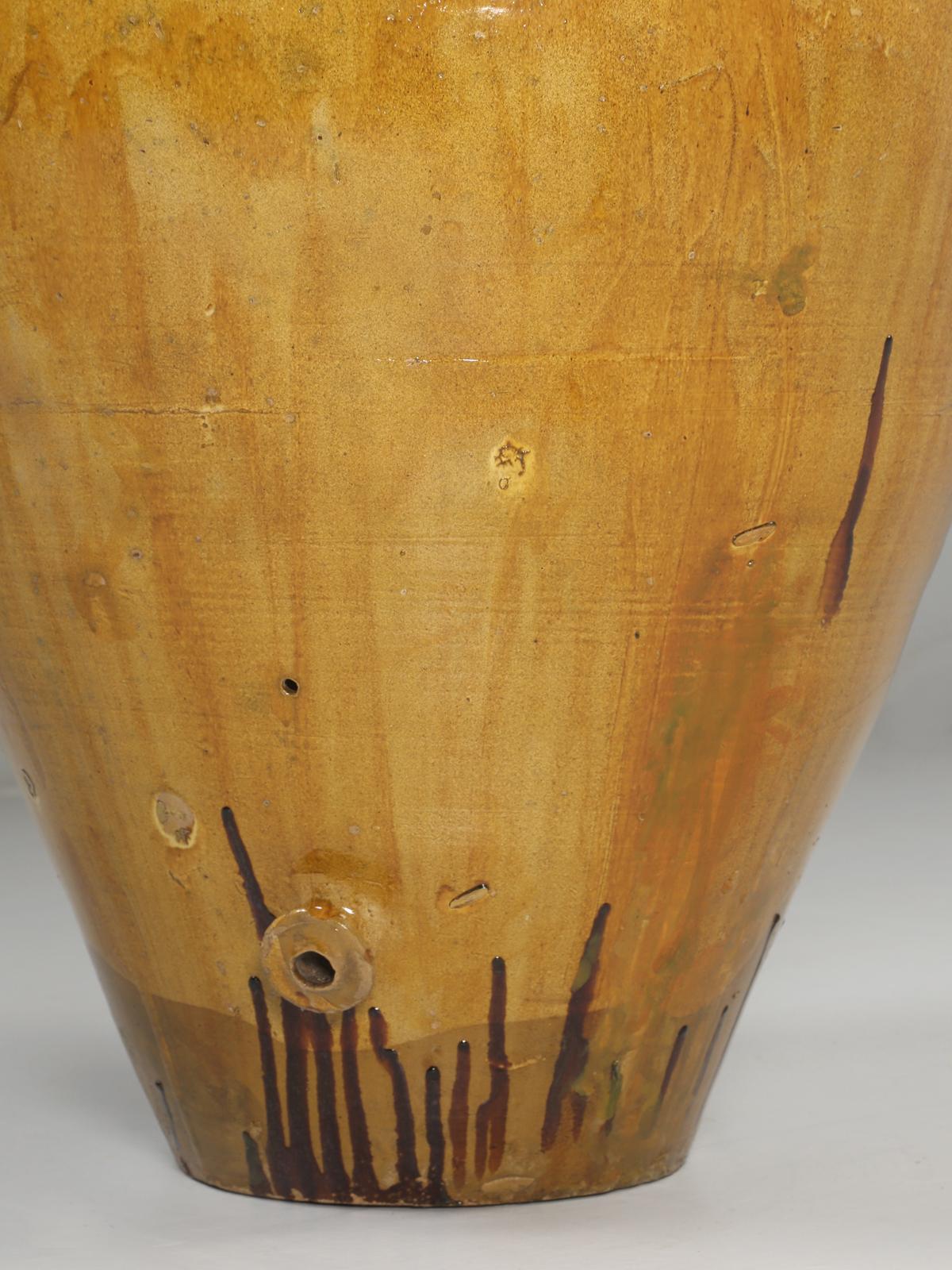 Huge Antique Olive Oil Jar from the South of Italy, Dating from the Late, 1800's 7
