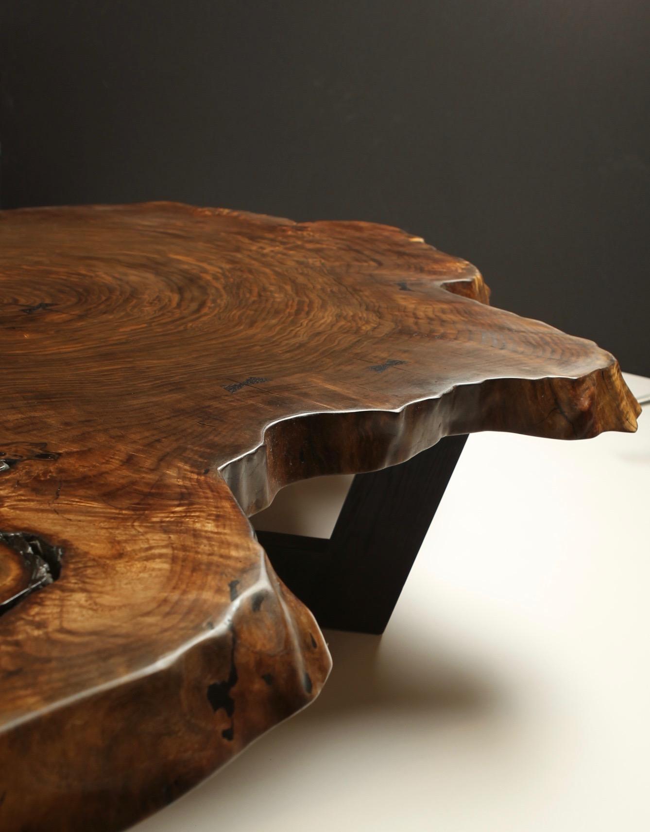 A huge cross-cut slab of Bastogne walnut set atop blackened oak legs. Gabon ebony inlays have been used to secure naturally occurring cracks. Handcrafted from one of our 