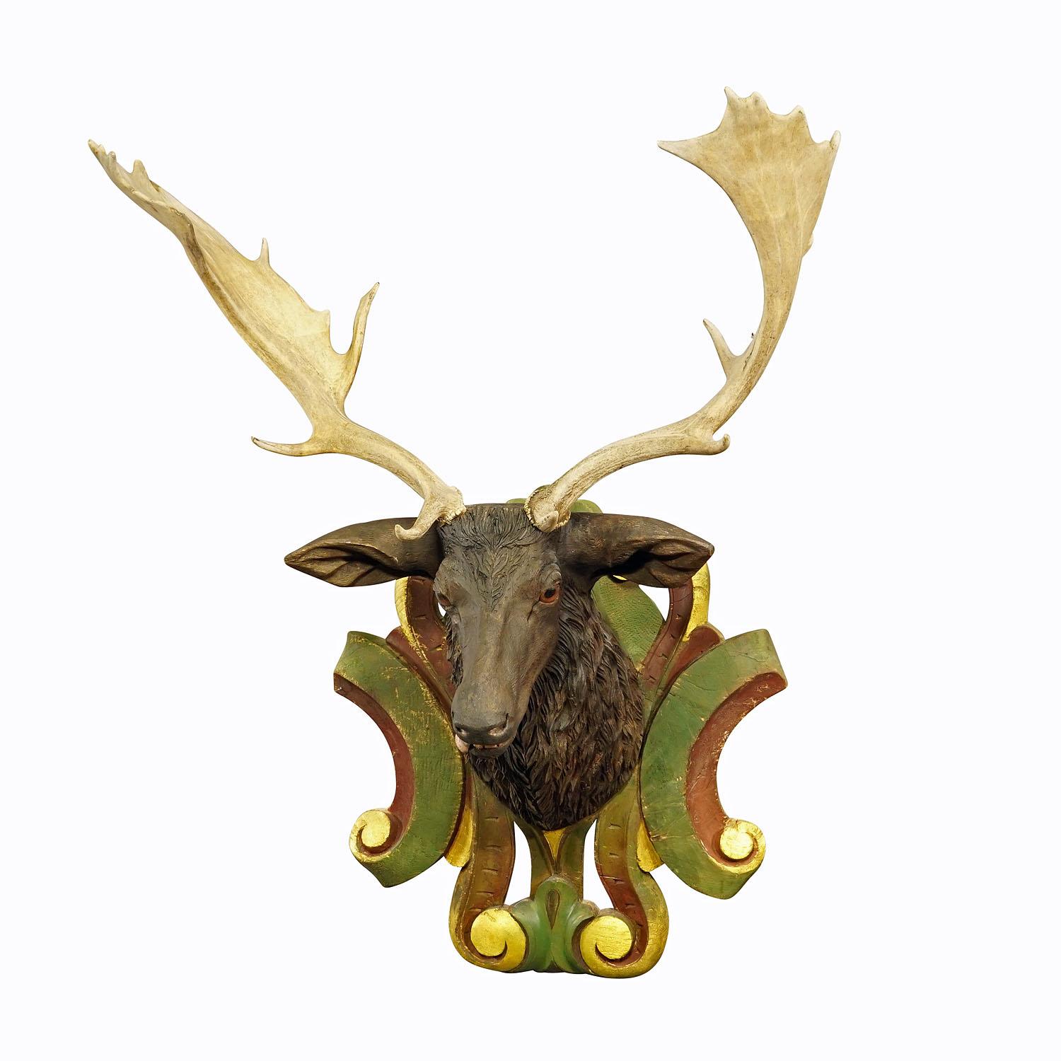 Huge black forest carved fallow deer head with large antlers circa. 1890

A monumental wooden carved Black Forest fallow deer head. Carved with realistic details in South Germany ca. 1890. It comes with a pair massive fallow deer antler trophys.