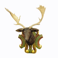 Huge Black Forest Carved Fallow Deer Head with Large Antlers, circa 1890