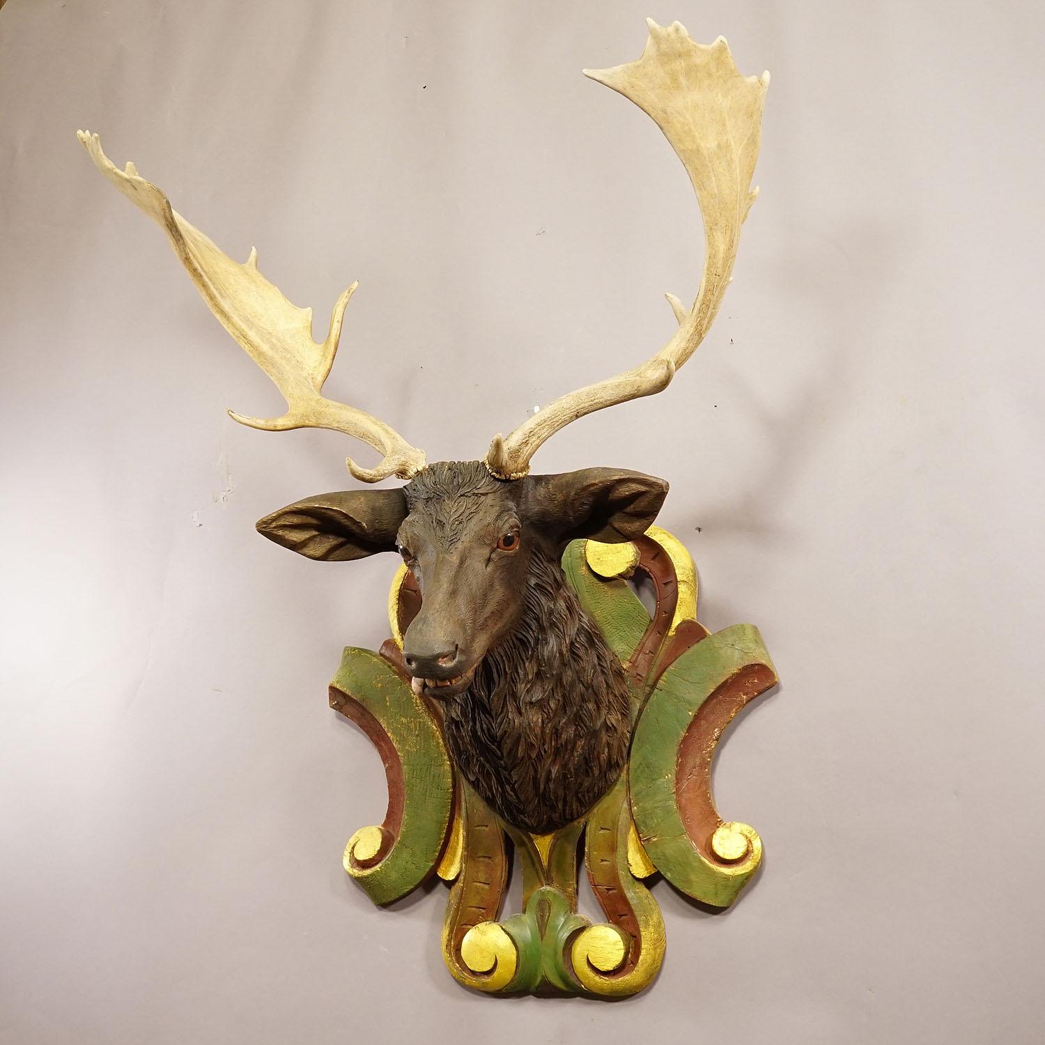 Rustic Huge Black Forest Carved Fallow Deer Head with Large Antlers, circa 1890 For Sale
