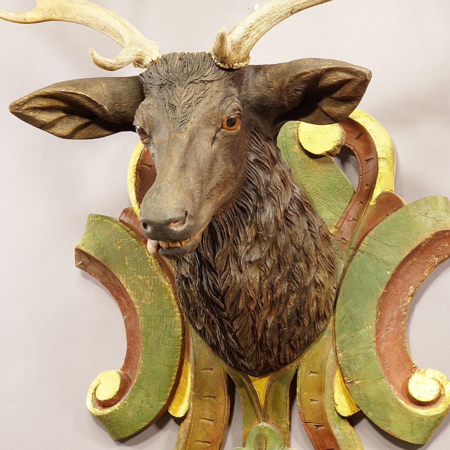 German Huge Black Forest Carved Fallow Deer Head with Large Antlers, circa 1890 For Sale