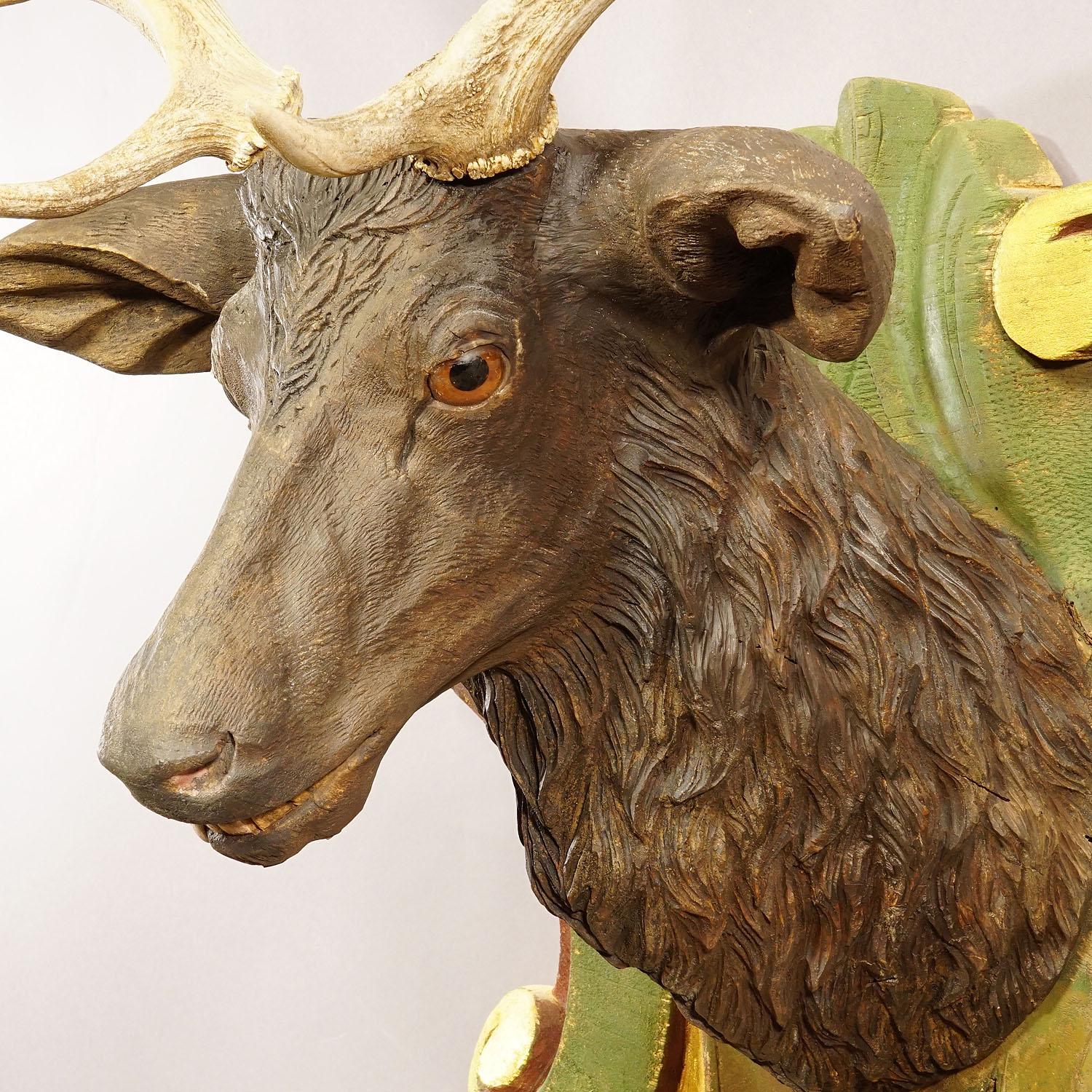 Hand-Carved Huge Black Forest Carved Fallow Deer Head with Large Antlers, circa 1890 For Sale