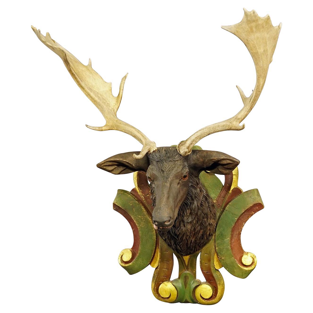 Huge Black Forest Carved Fallow Deer Head with Large Antlers, circa 1890