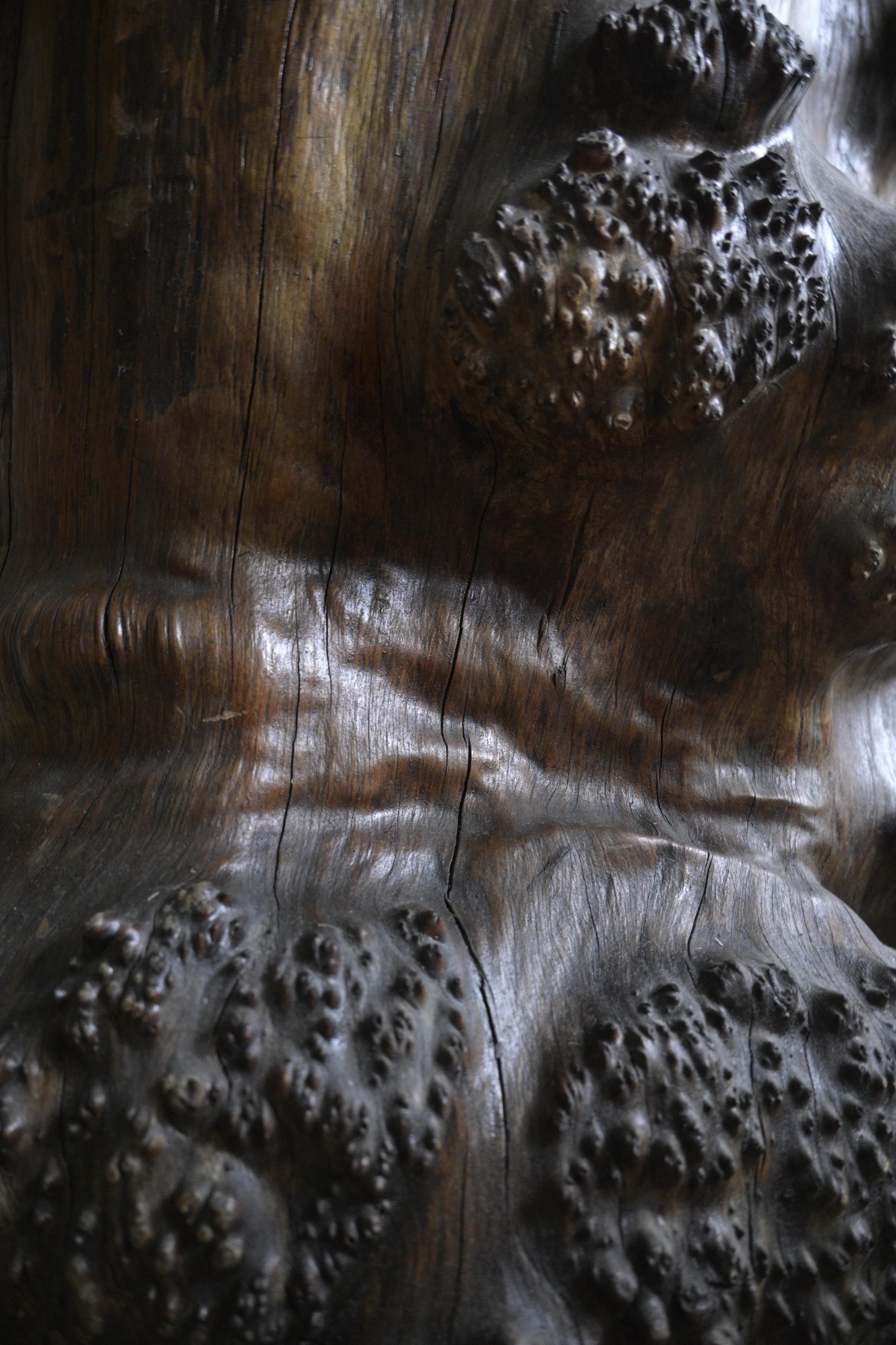 Huge Birch Burl Wood Stump Chair For Sale 3