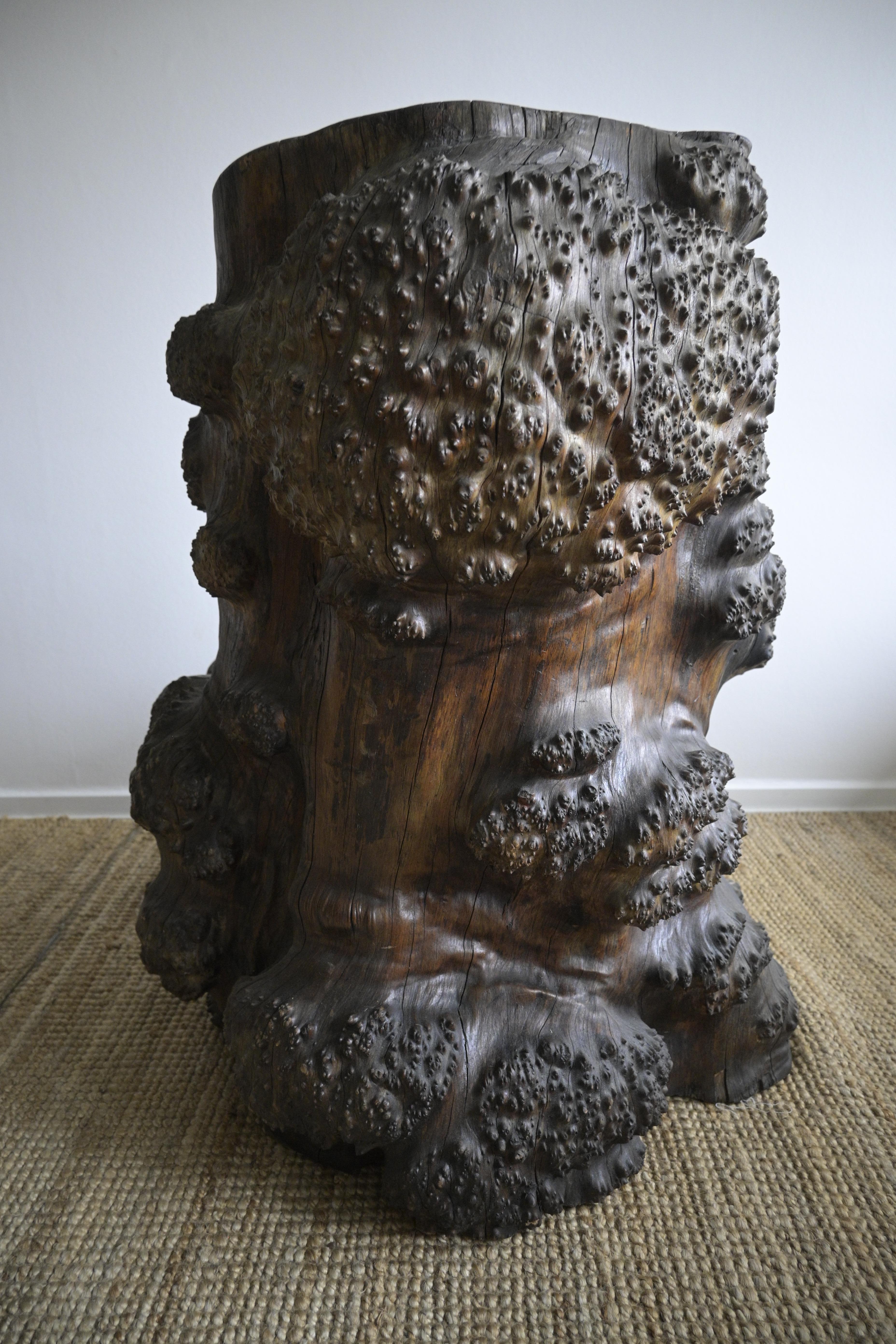 Huge Birch Burl Wood Stump Chair For Sale 4
