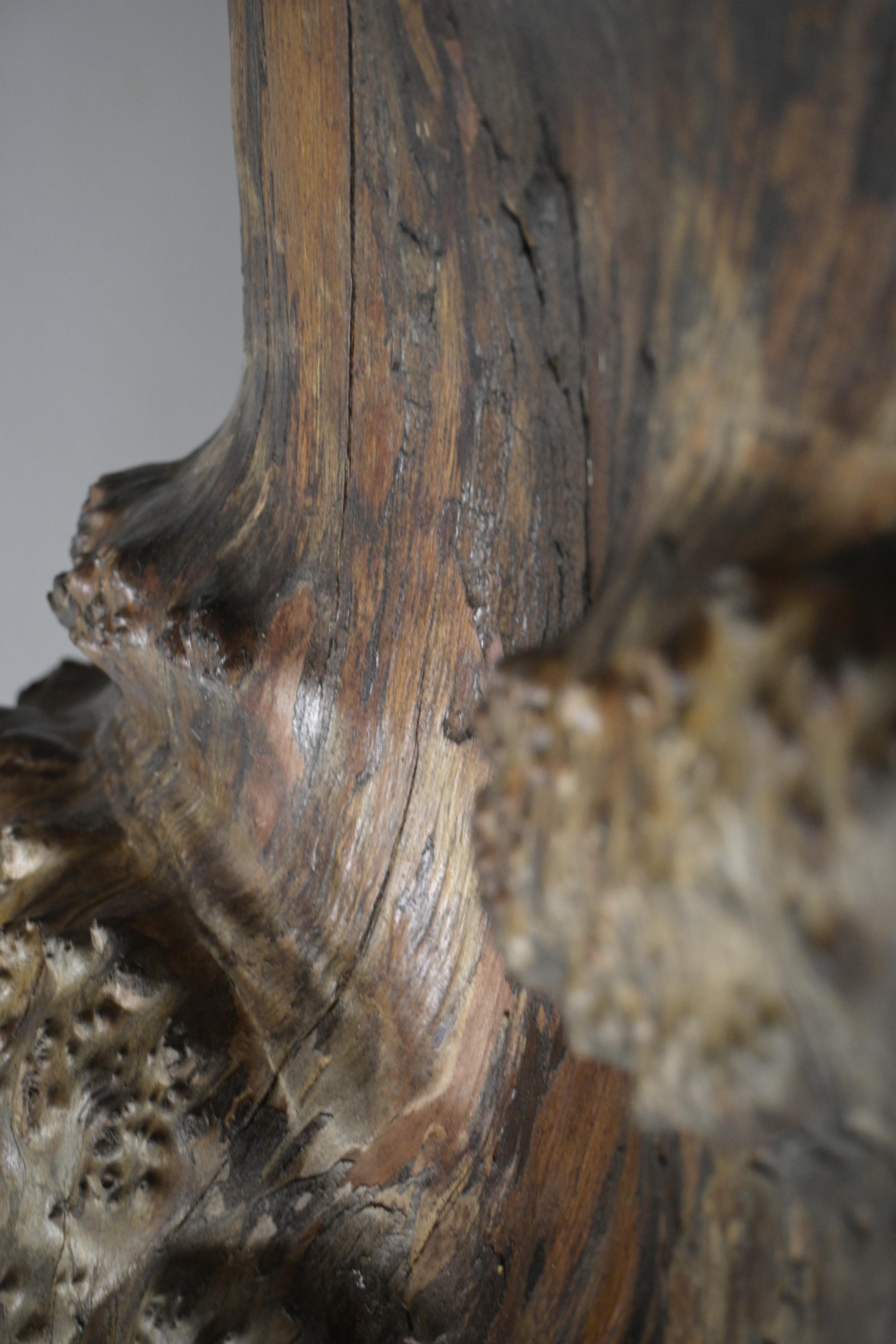 Huge Birch Burl Wood Stump Chair For Sale 6