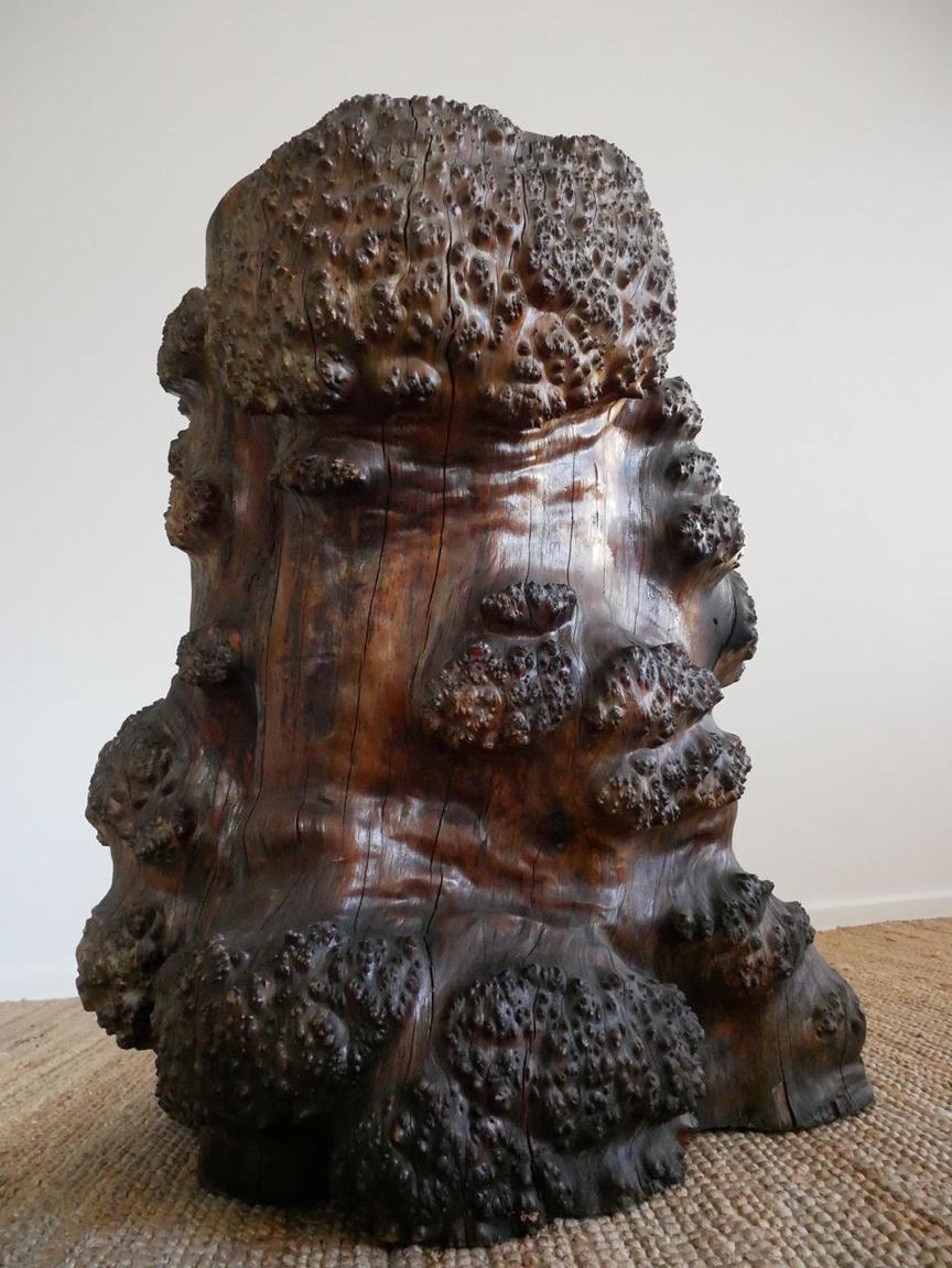 Carved Huge Burl Wood Stump Chair For Sale