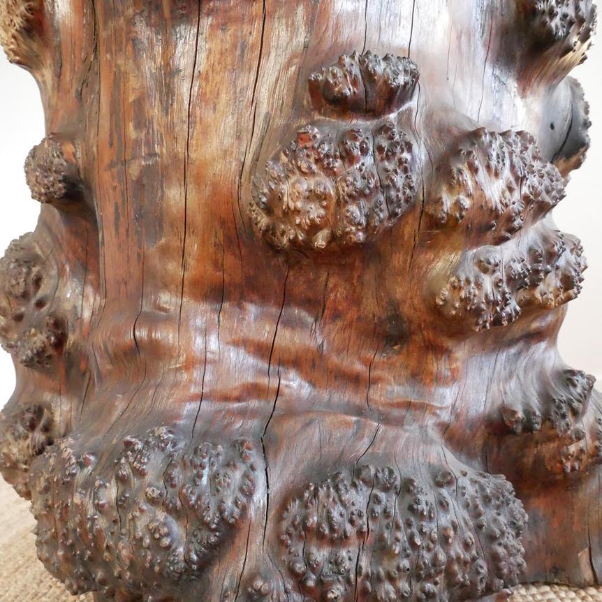 Mid-20th Century Huge Burl Wood Stump Chair For Sale