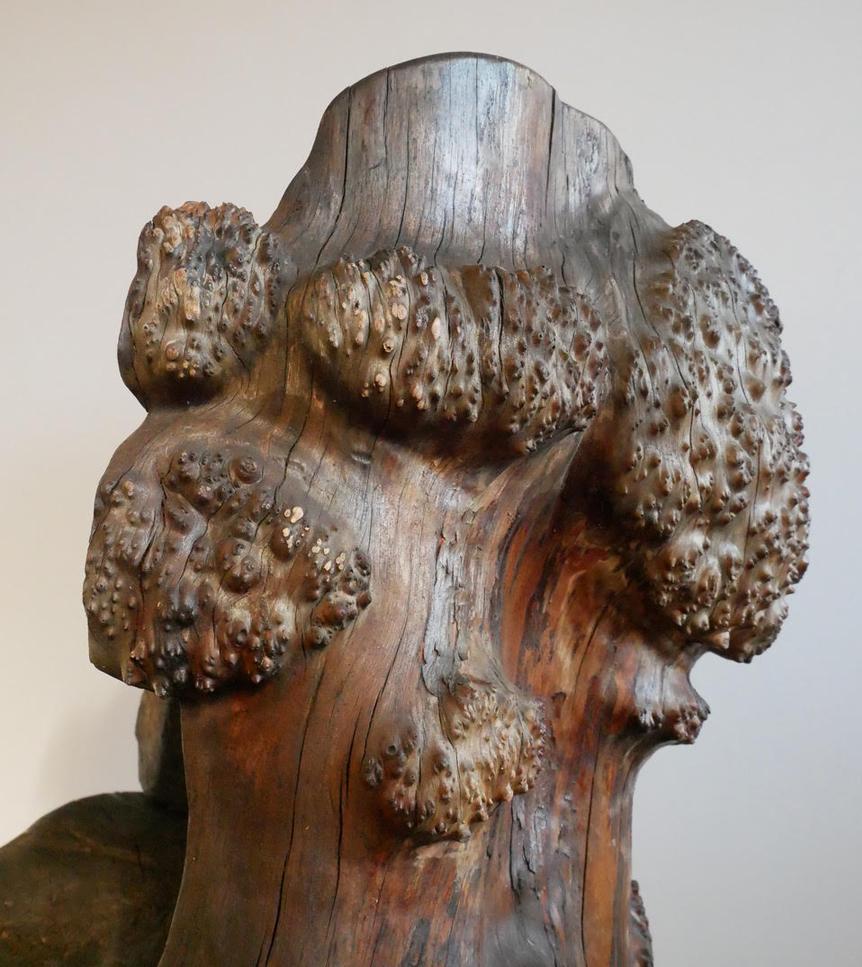 Birch Huge Burl Wood Stump Chair For Sale