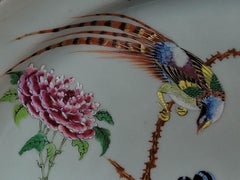 Huge Chinese Oval Deep Meat Platter from 19th Century