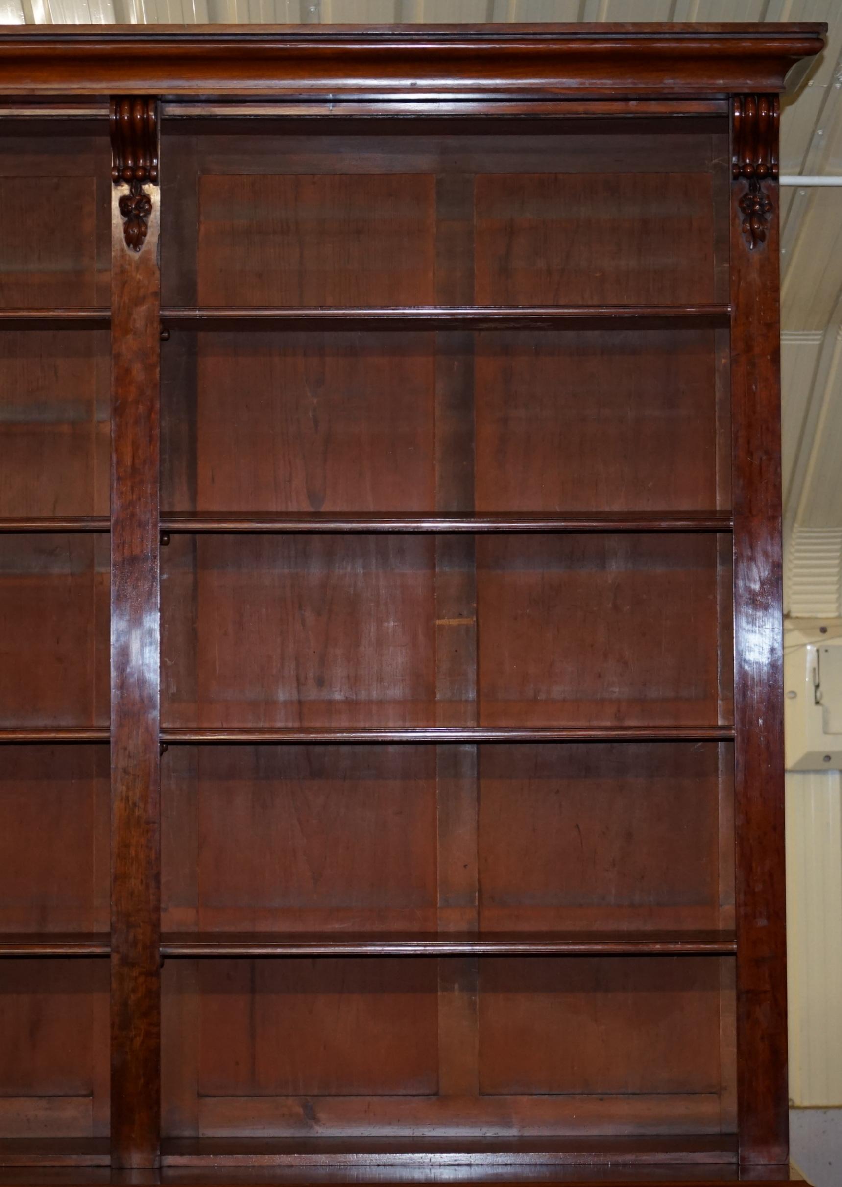 Huge circa 1860 Antique Victorian Walnut Library Study Bookcase Cupboard Base 2