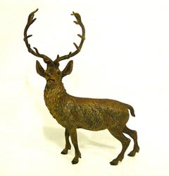 Huge Cold-Painted Bronze entitled Standing Stage by Franz Bergmann. 1900´s