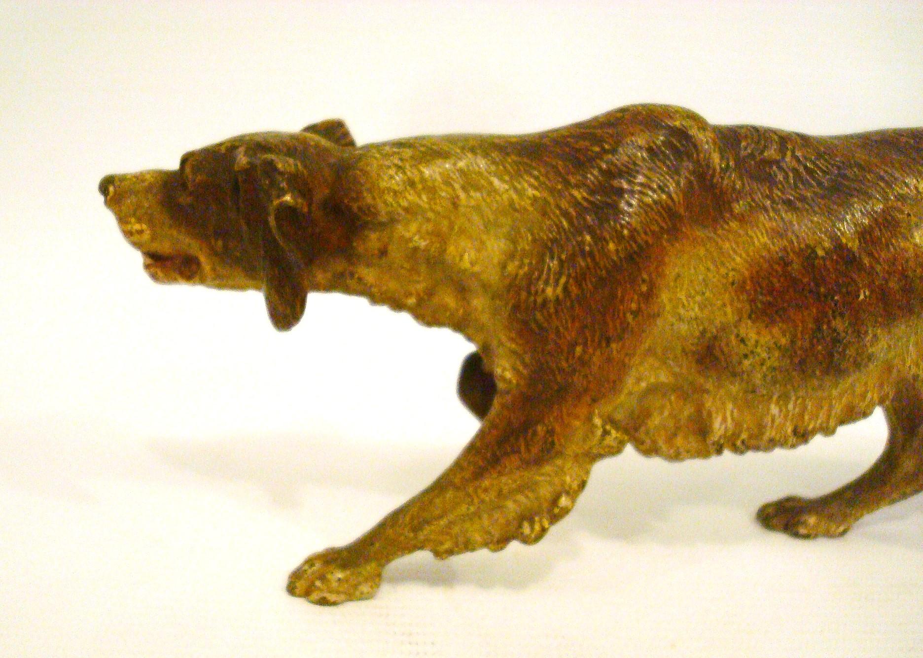 XX secolo Enorme scultura in bronzo dipinta a freddo di un cane Pointer di Franz Bergmann. 1900´s in vendita