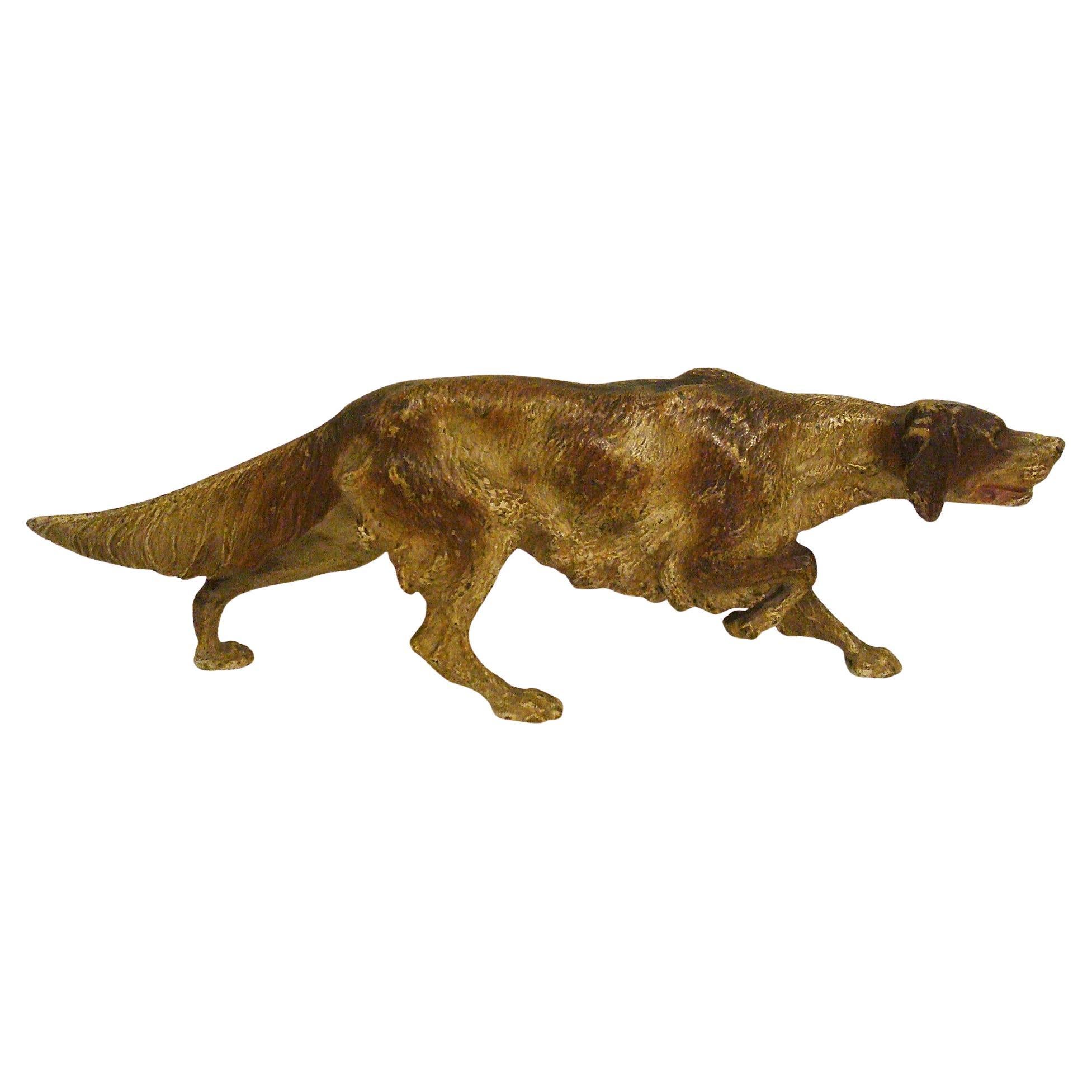 Enorme scultura in bronzo dipinta a freddo di un cane Pointer di Franz Bergmann. 1900´s in vendita