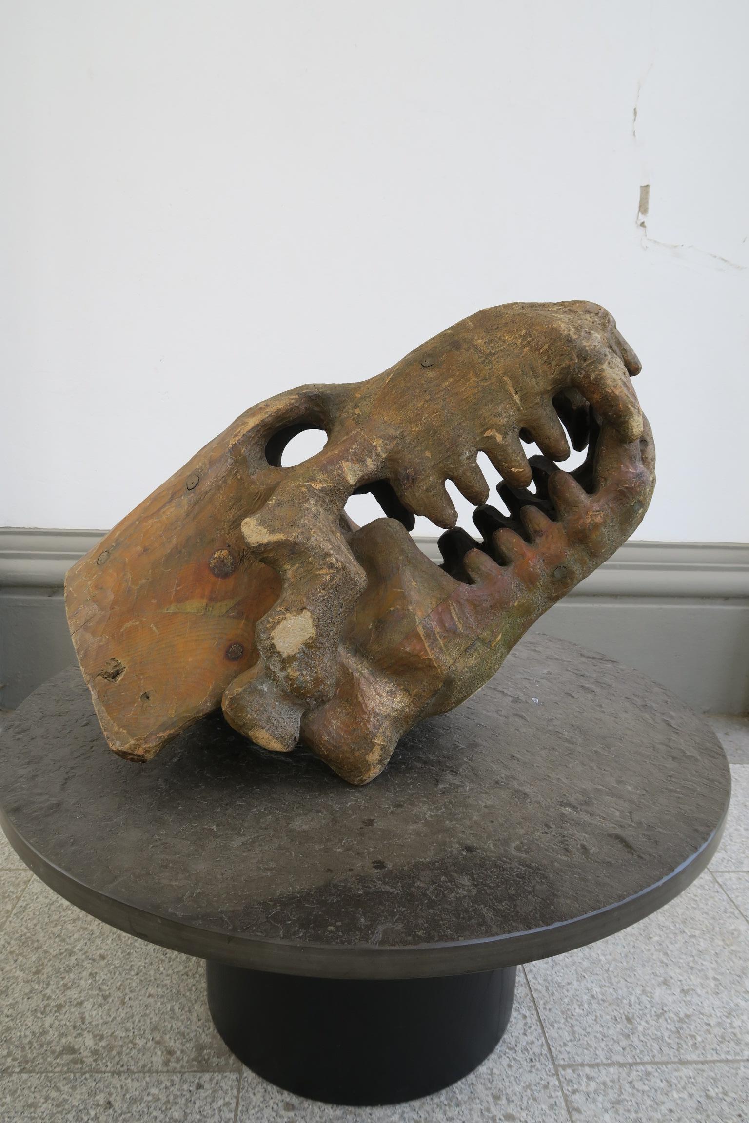 enorme testa decorativa di dinosauro in legno di un artista sconosciuto in vendita 2