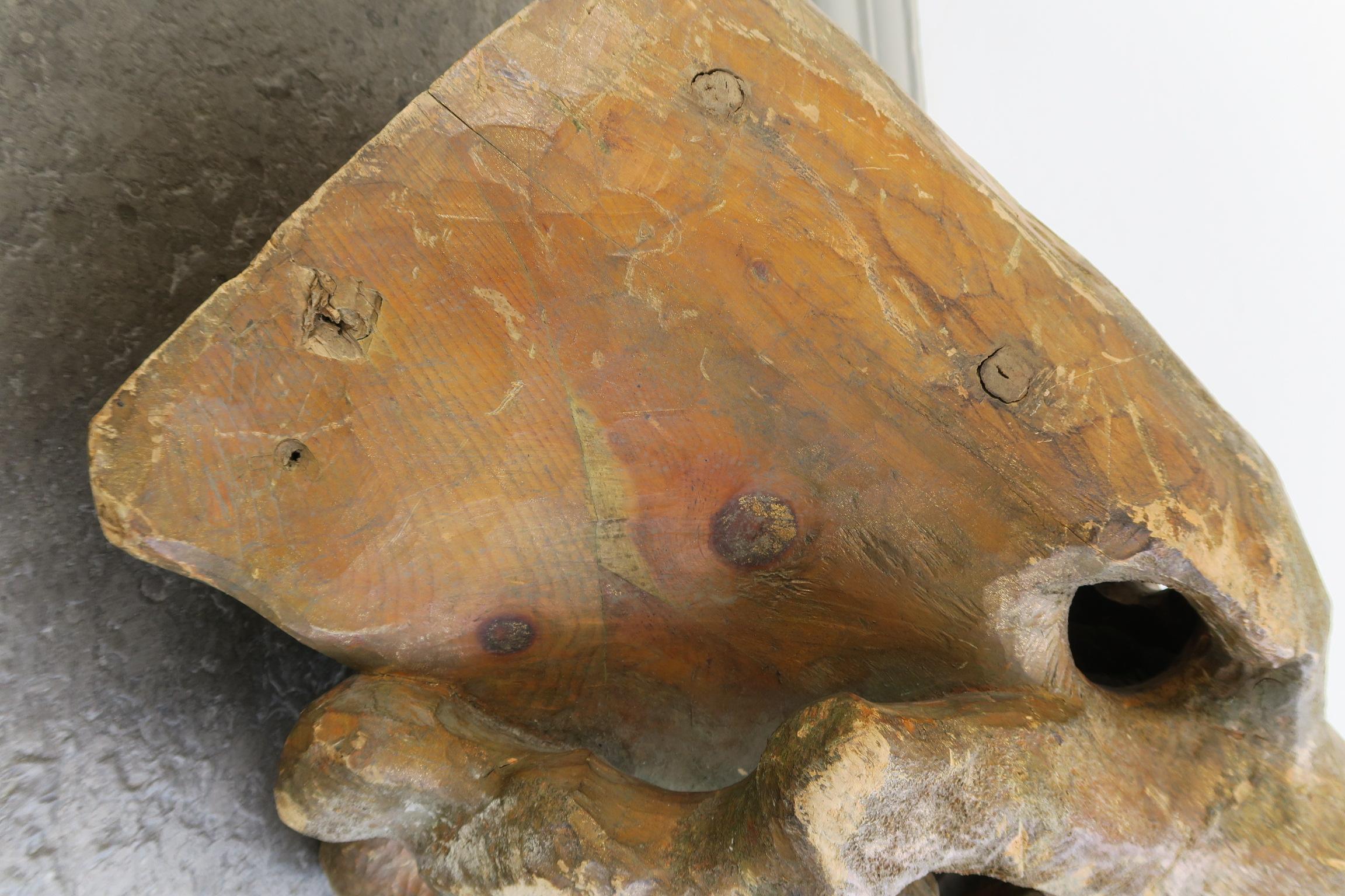 enorme testa decorativa di dinosauro in legno di un artista sconosciuto in vendita 3