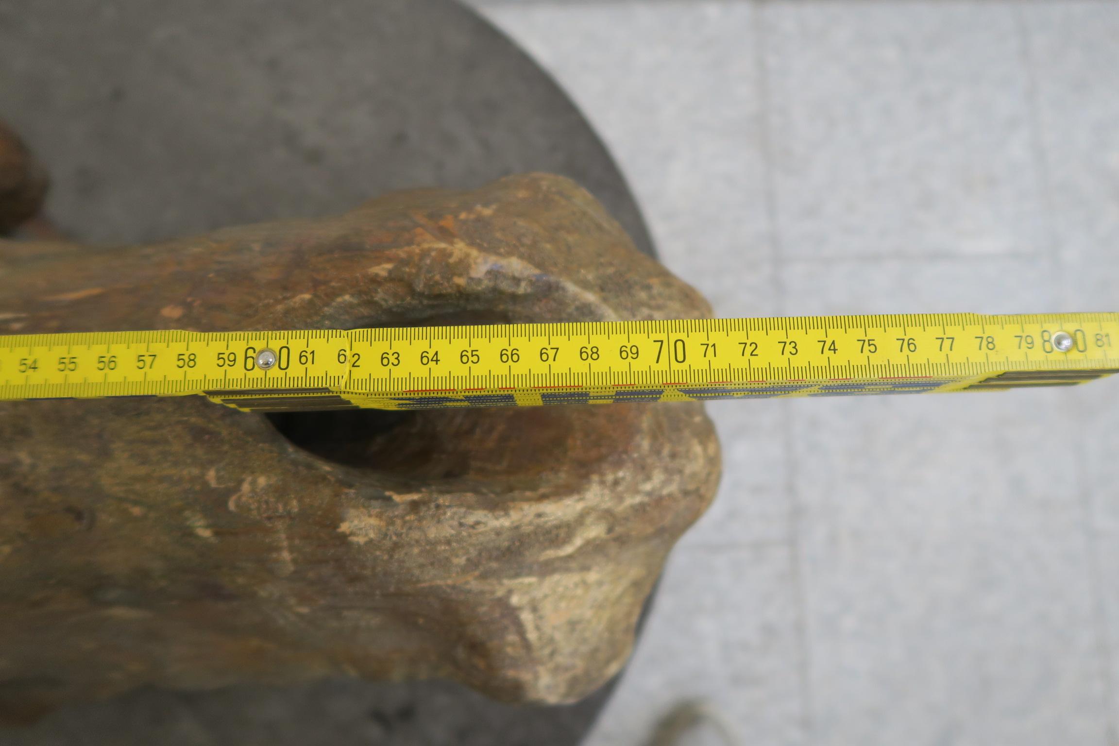 enorme testa decorativa di dinosauro in legno di un artista sconosciuto in vendita 6