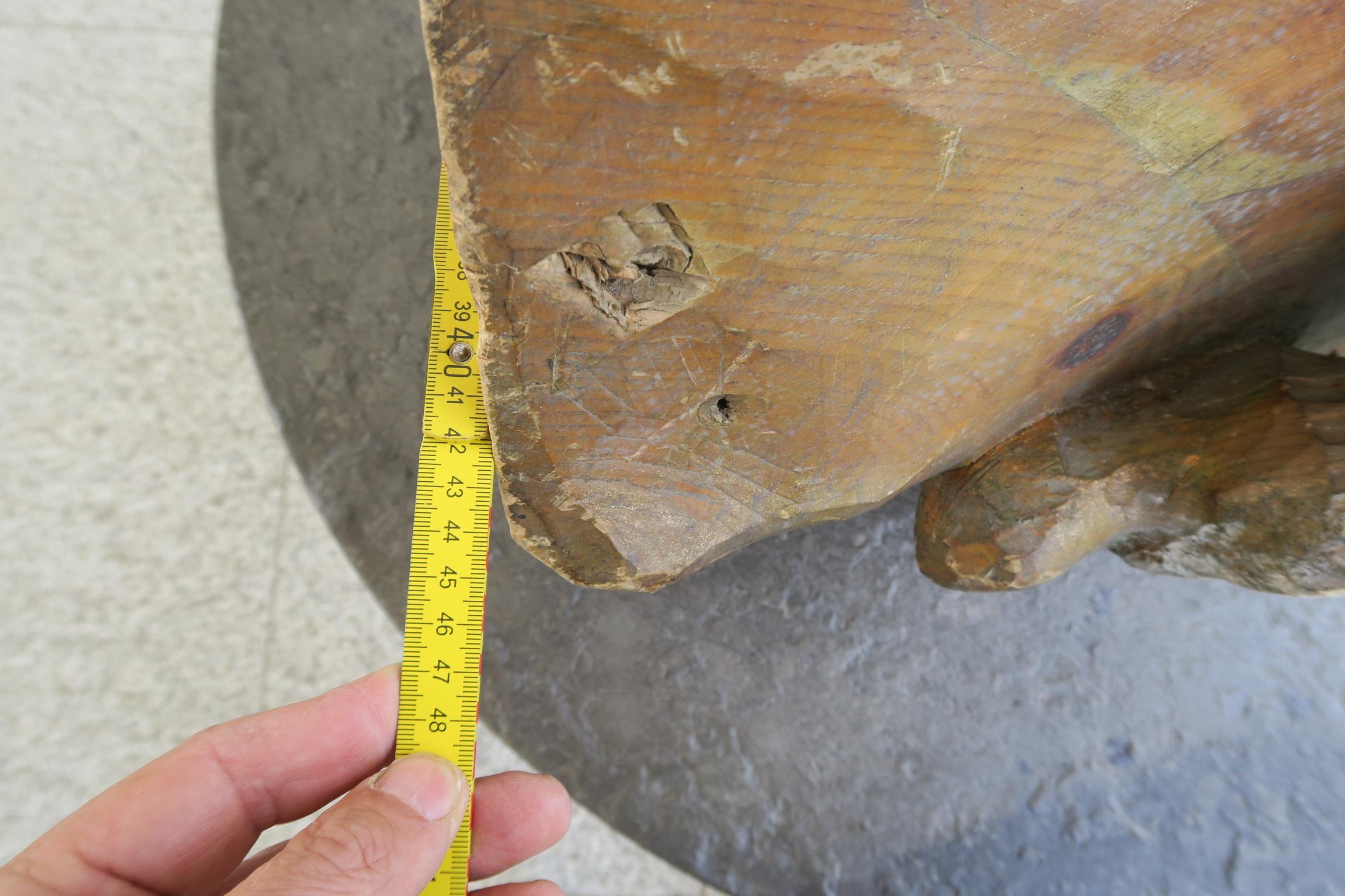 enorme testa decorativa di dinosauro in legno di un artista sconosciuto in vendita 7