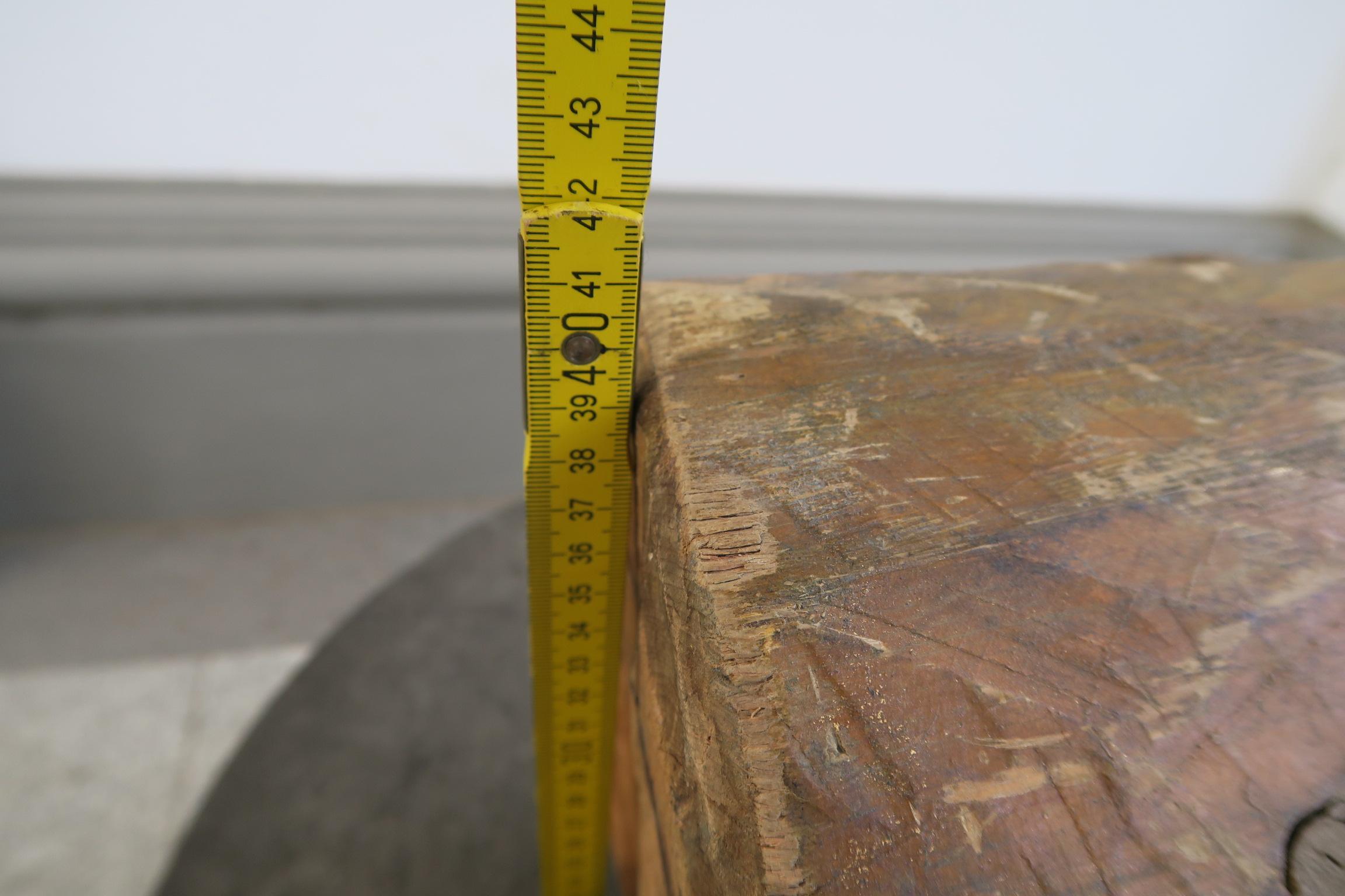 enorme testa decorativa di dinosauro in legno di un artista sconosciuto in vendita 8