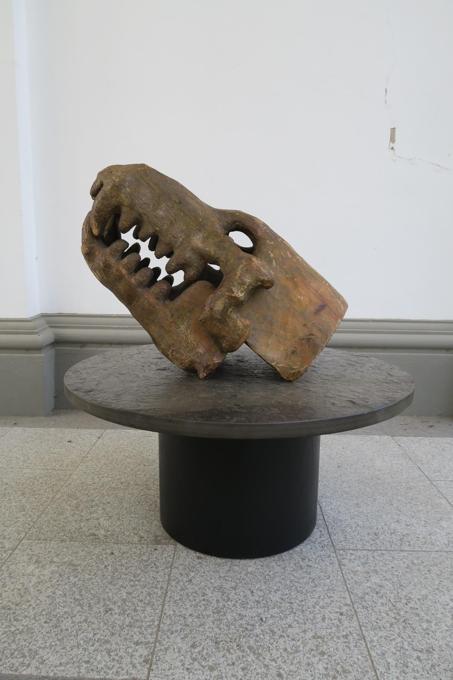 testa di dinosauro in legno di un artista sconosciuto.
È un pezzo unico con un alto valore decorativo.
È un'attrazione per gli occhi
