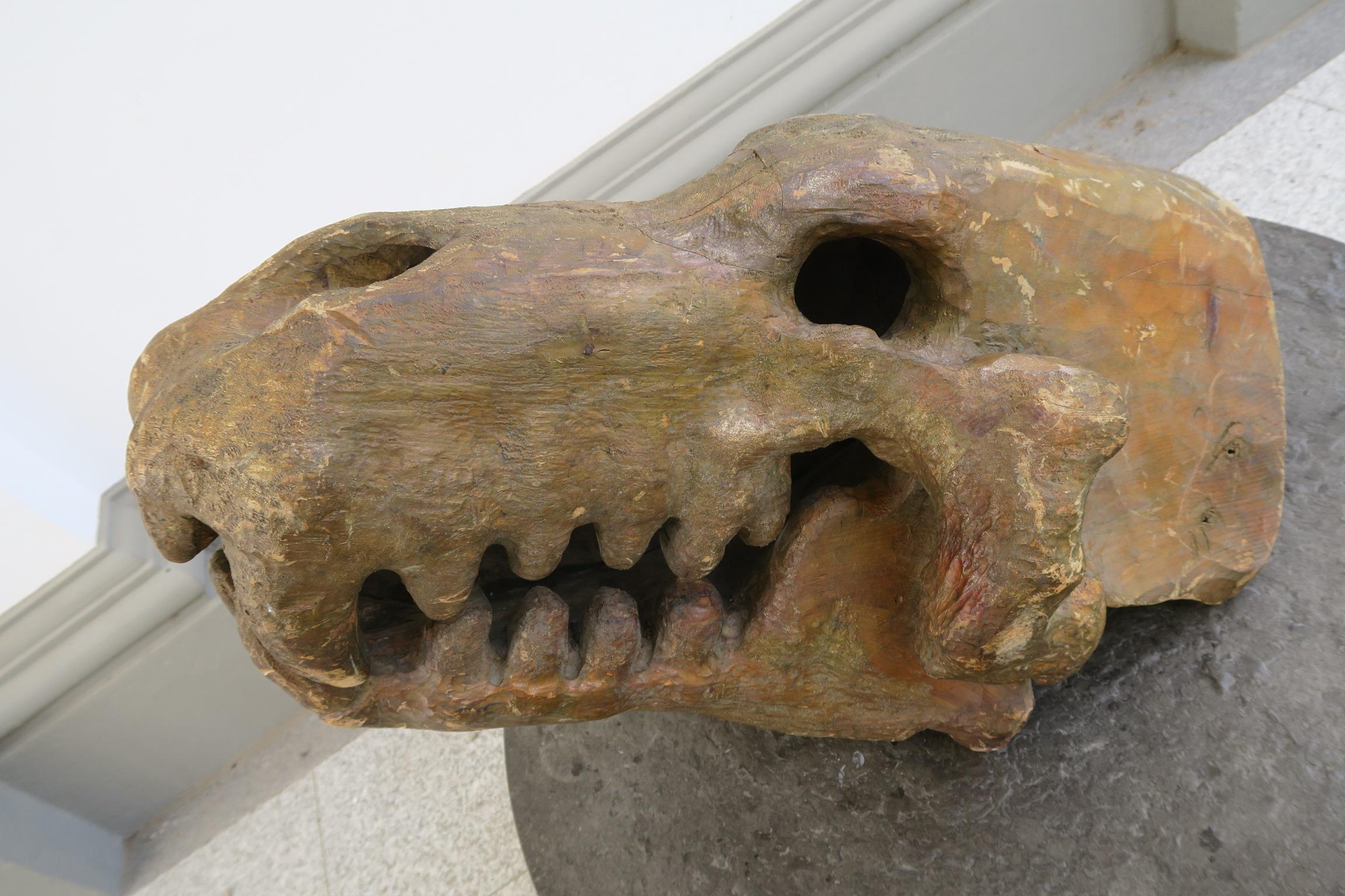 Arcaistico enorme testa decorativa di dinosauro in legno di un artista sconosciuto in vendita