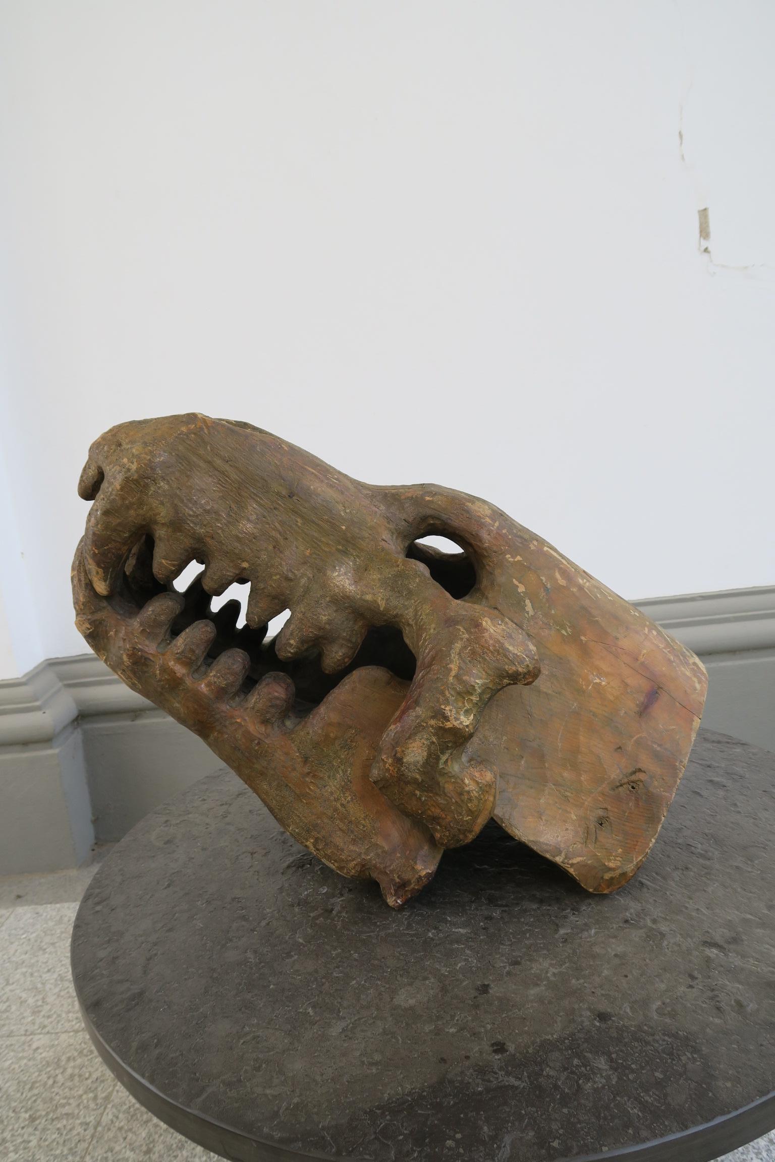 Europeo enorme testa decorativa di dinosauro in legno di un artista sconosciuto in vendita