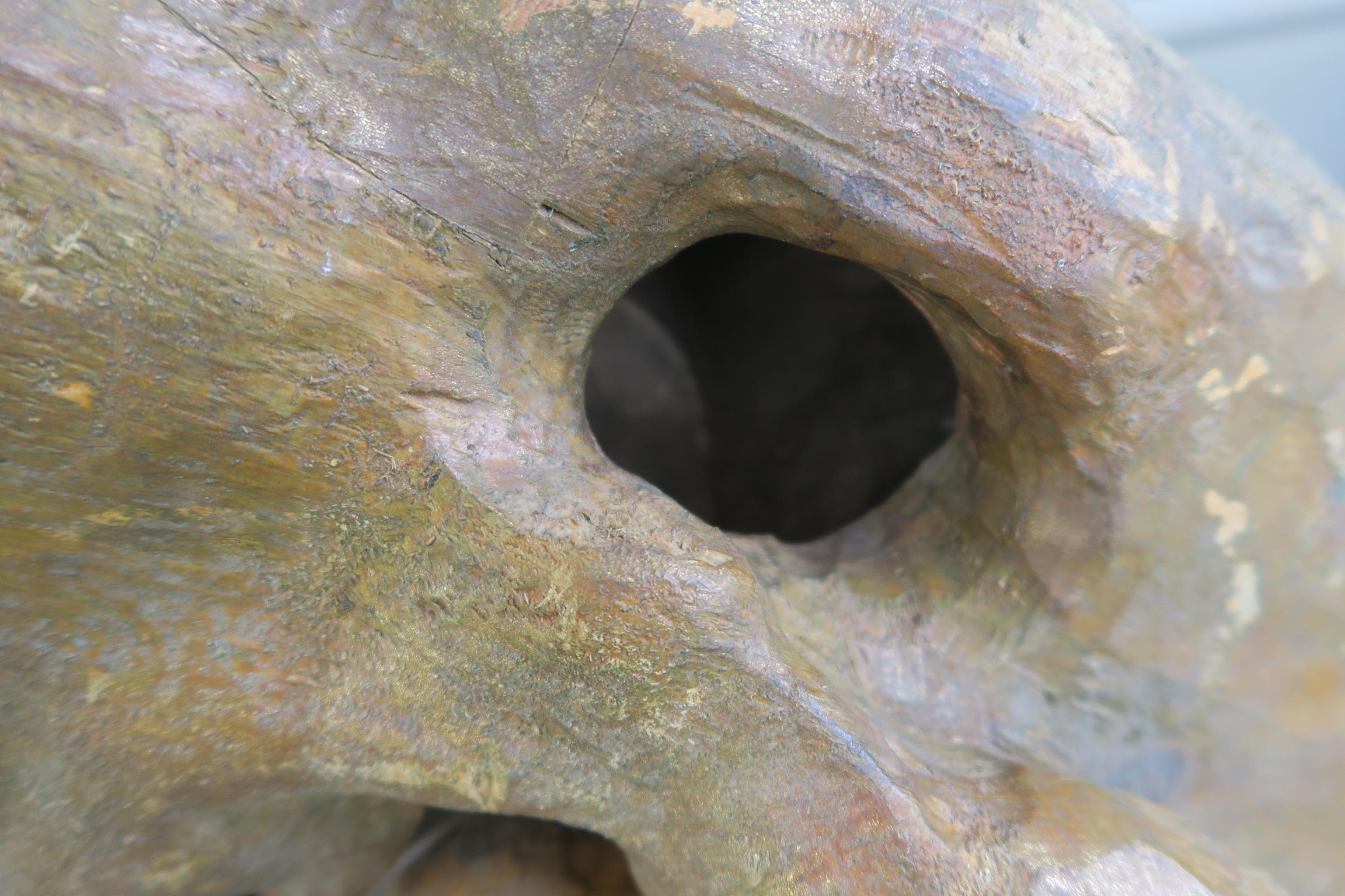 XX secolo enorme testa decorativa di dinosauro in legno di un artista sconosciuto in vendita