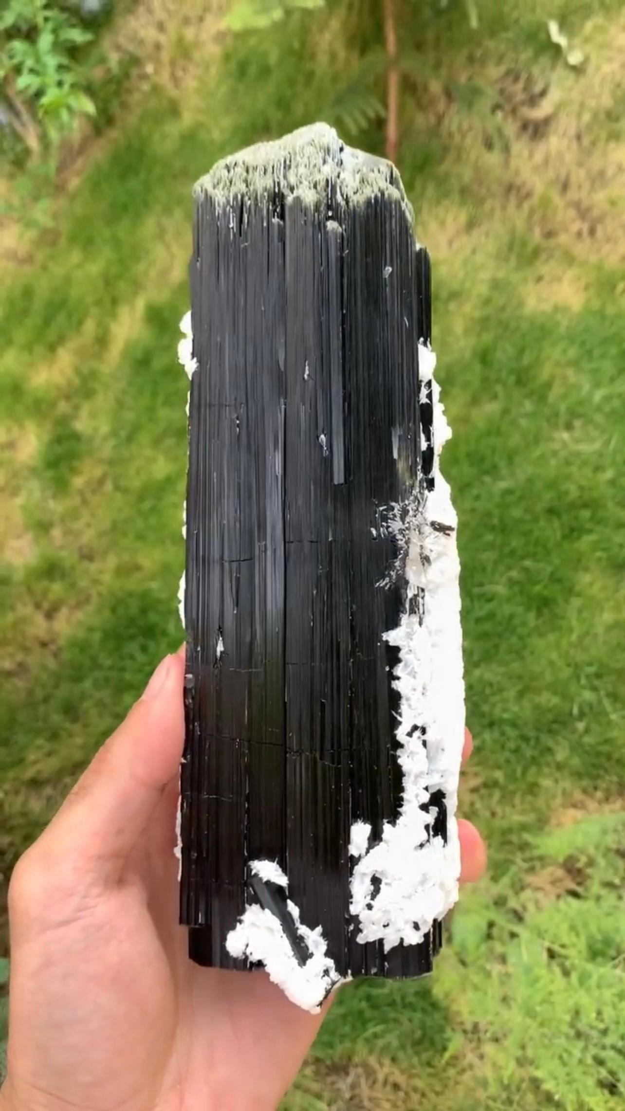 Product Information:

Specimen Name: Black Tourmaline with Cleavelandite 

Weight: 1163 grams

Dimensions: H: 23 x W: 7.3 x D: 4.5 cm

Treatment: None

Origin: Skardu District, Gilgit Baltistan Province, Pakistan 

Description:

This magnificent