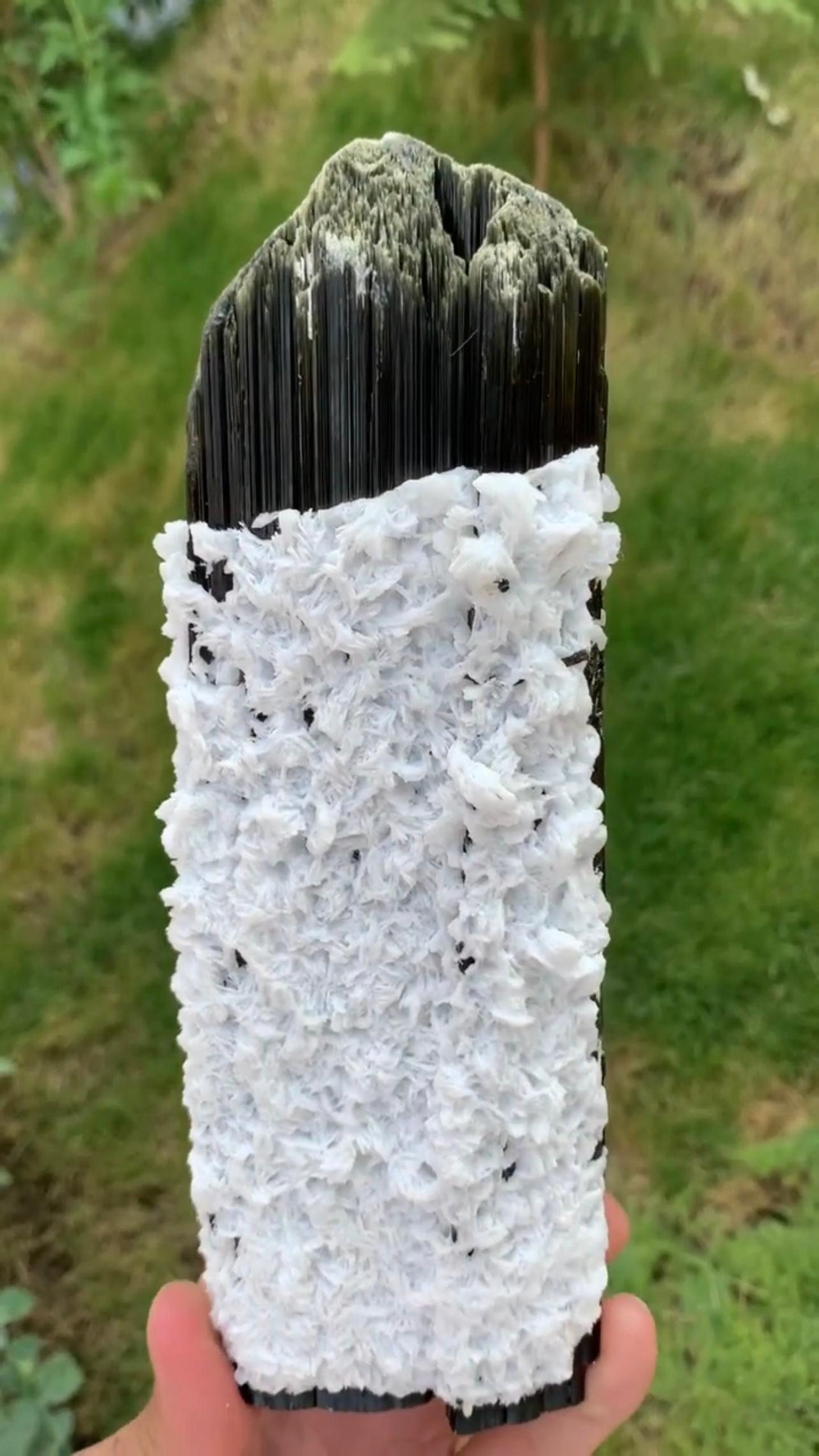 Modern Huge Double Terminated Tourmaline With Snowy White Cleavelandite From Pakistan For Sale