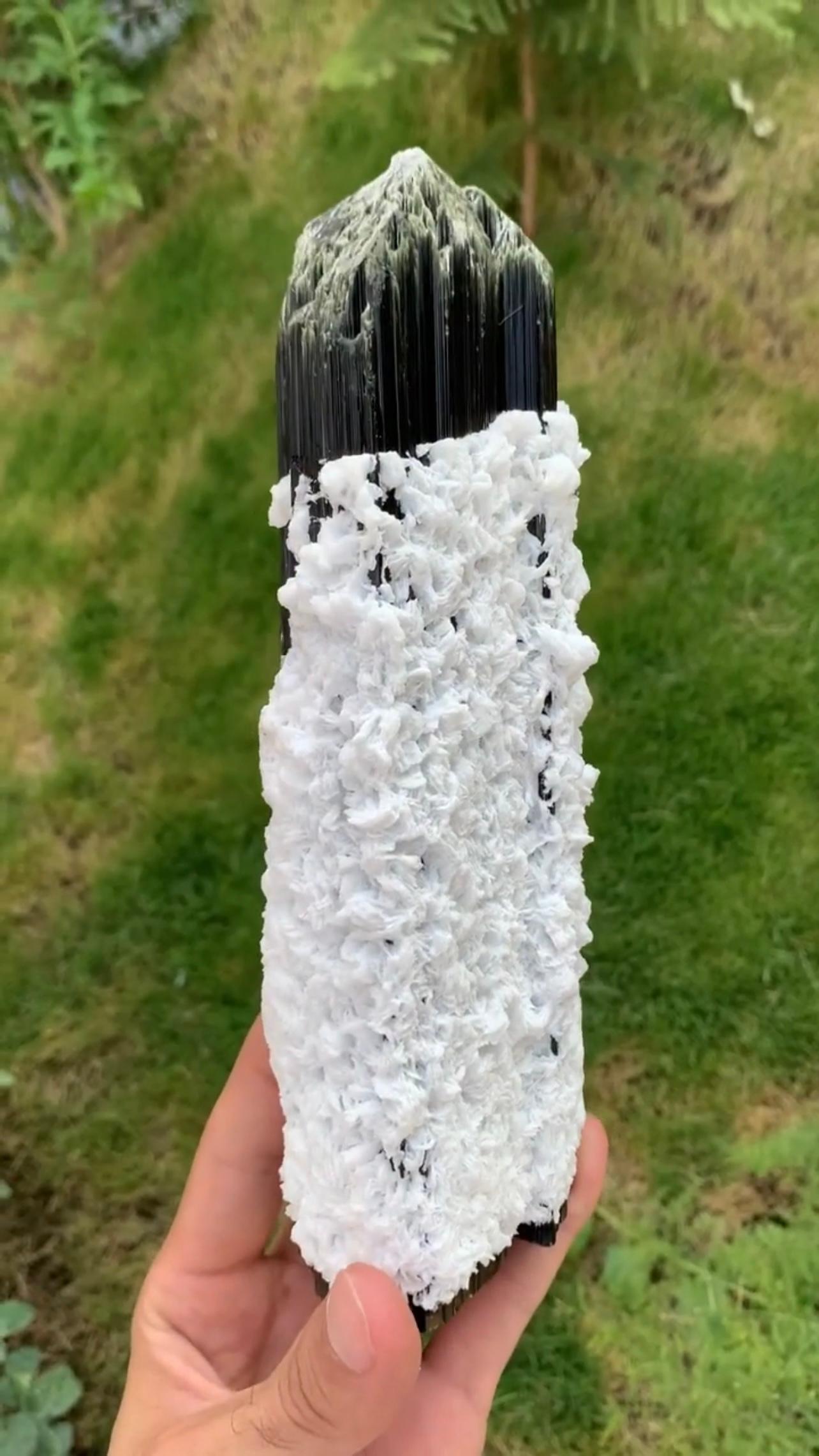 Pakistani Huge Double Terminated Tourmaline With Snowy White Cleavelandite From Pakistan For Sale