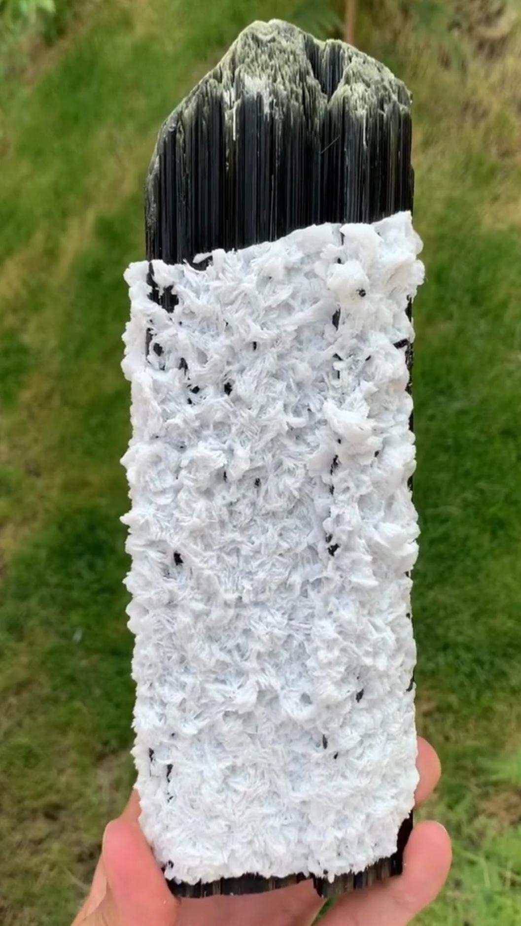 Huge Double Terminated Tourmaline With Snowy White Cleavelandite From Pakistan In Good Condition For Sale In Peshawar, PK
