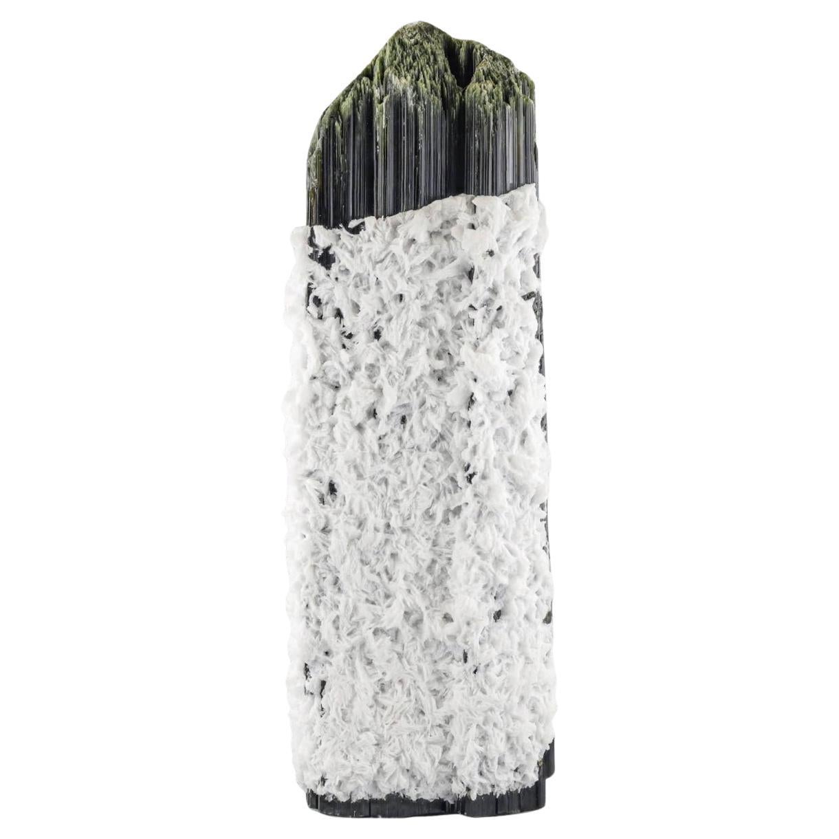 Huge Double Terminated Tourmaline With Snowy White Cleavelandite From Pakistan