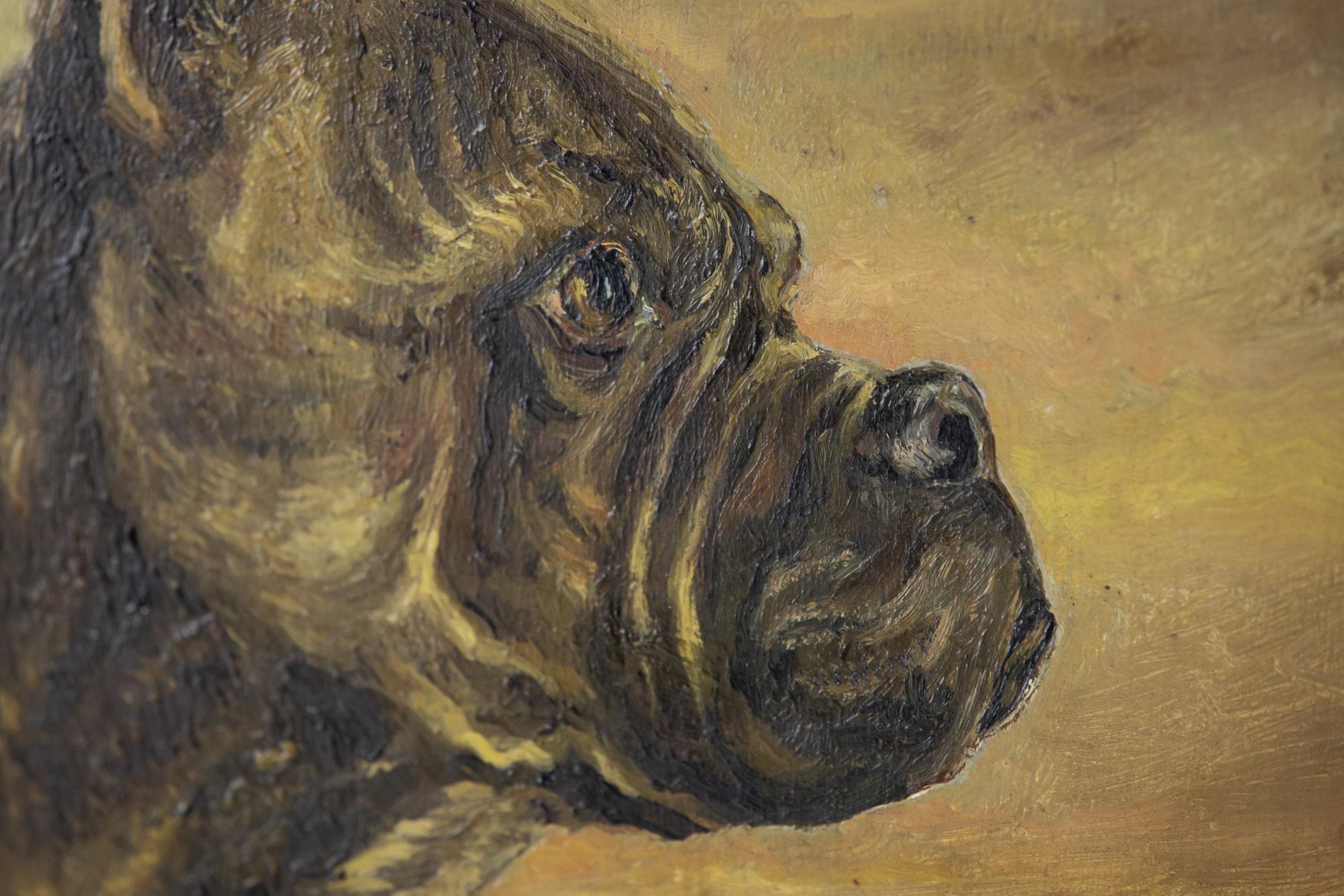 Huge Early 20th Century Dog Portrait of a Boxer For Sale 6