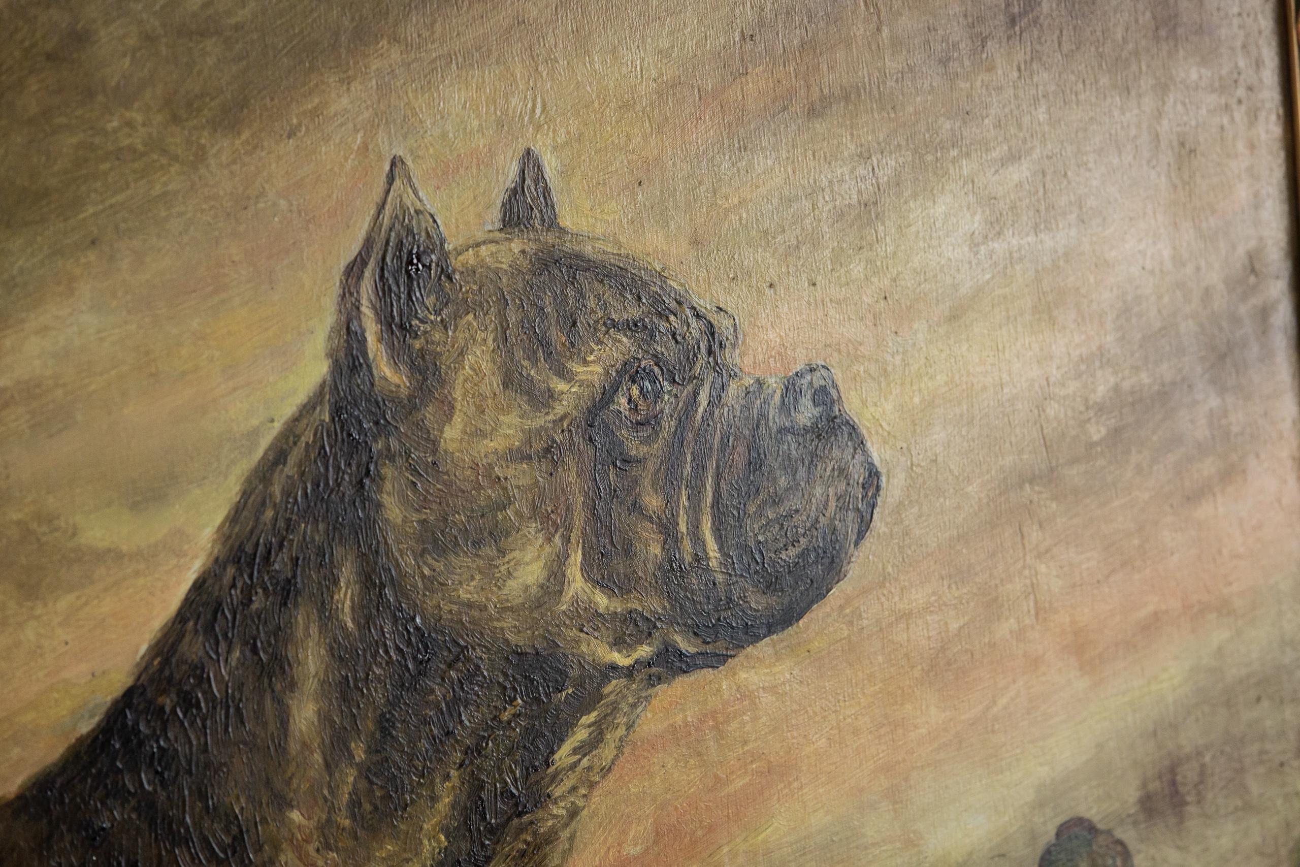 Huge Early 20th Century Dog Portrait of a Boxer For Sale 1